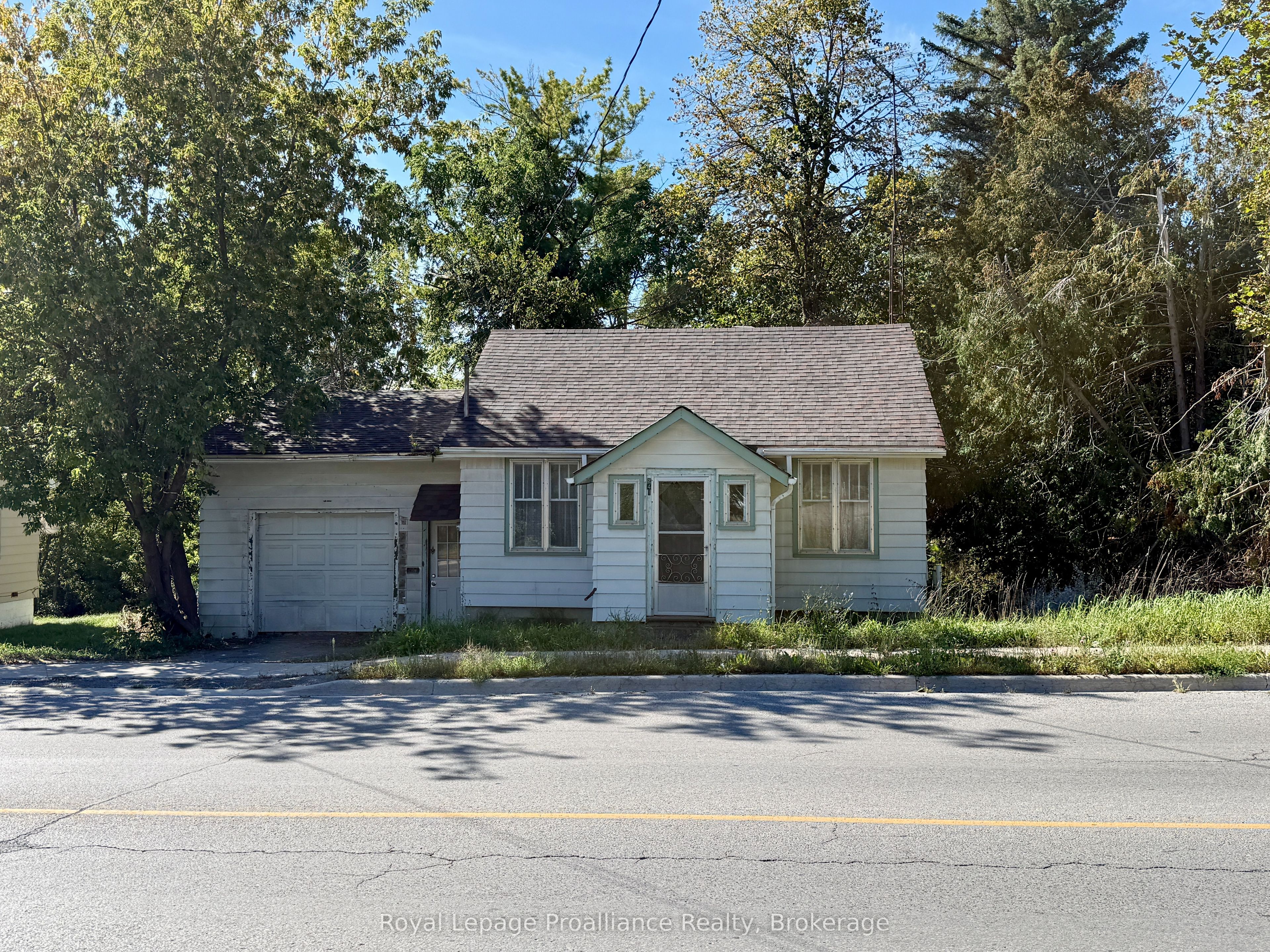 241 Bridge Street W Property Photo 1