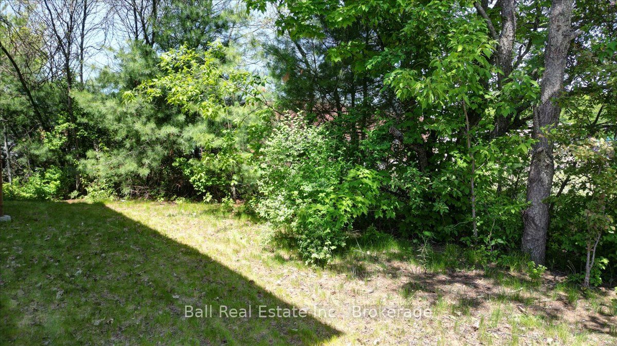 9 Williams Drive Property Photo 44