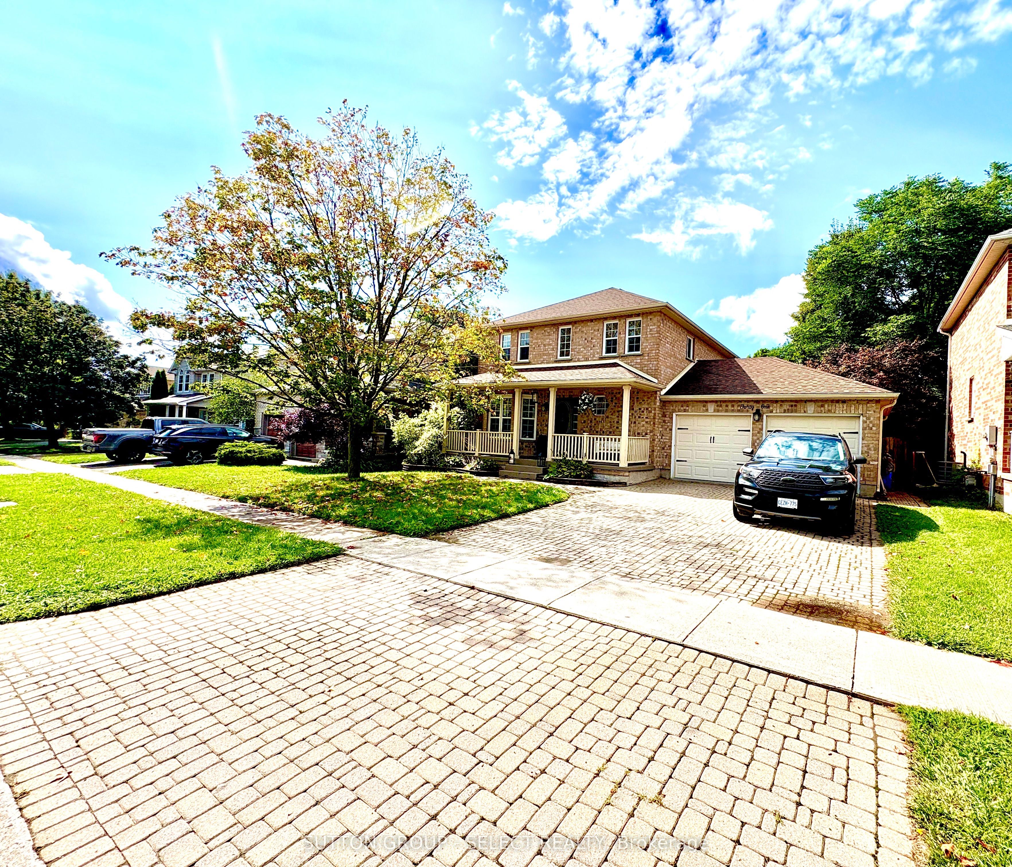 41 David Street Property Photo 3