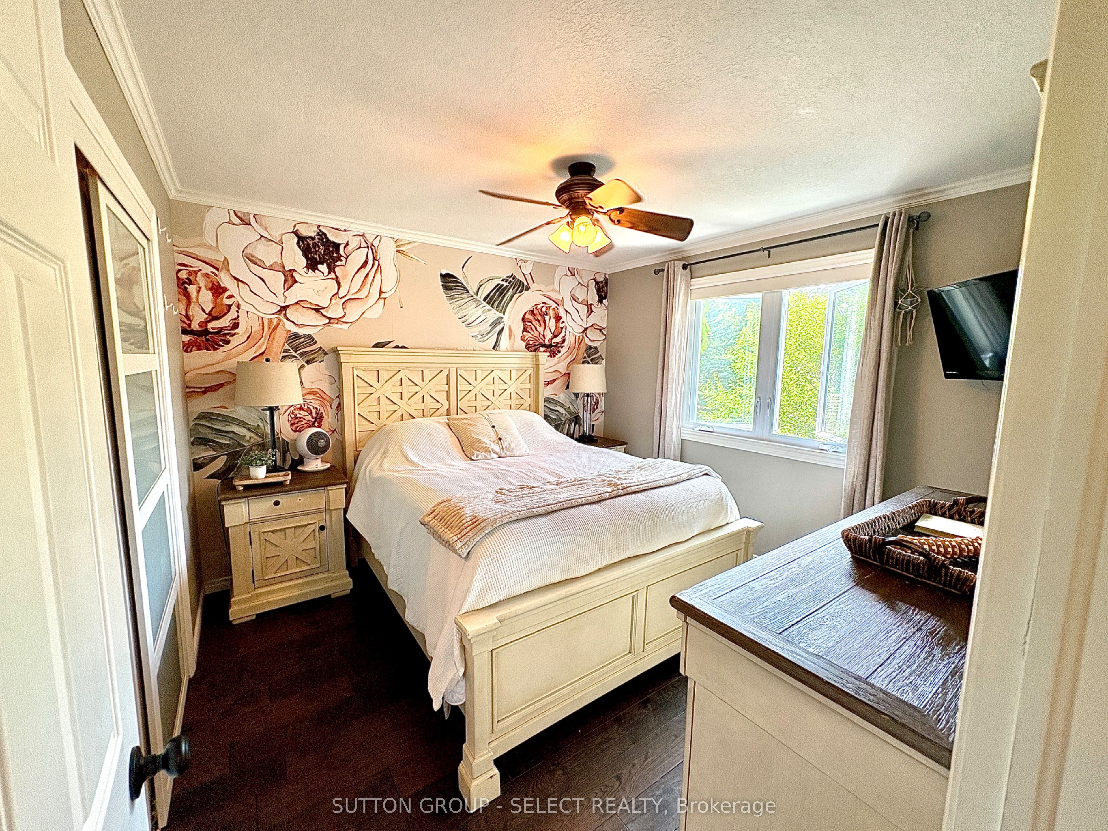 41 David Street Property Photo 23