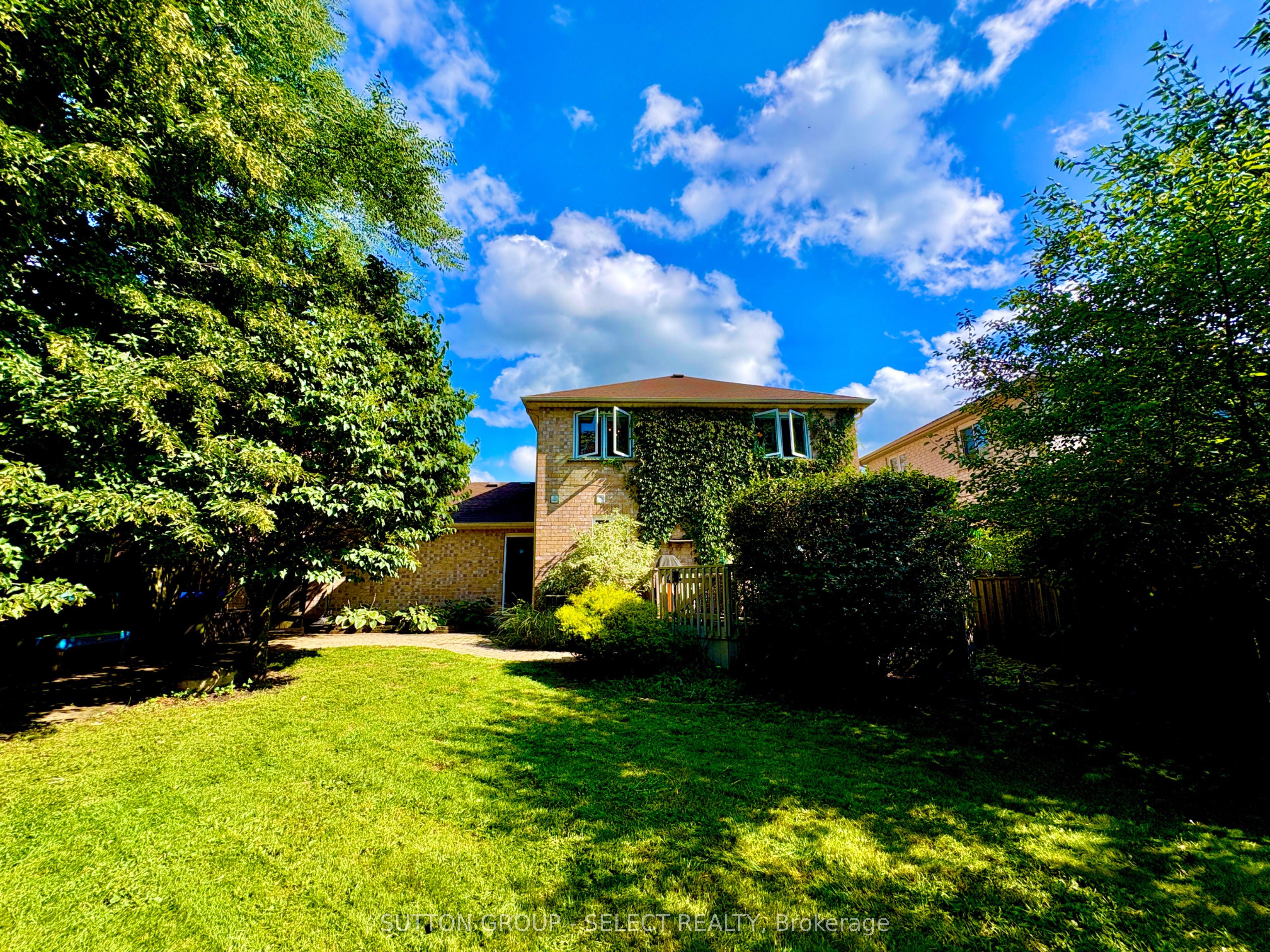 41 David Street Property Photo 38