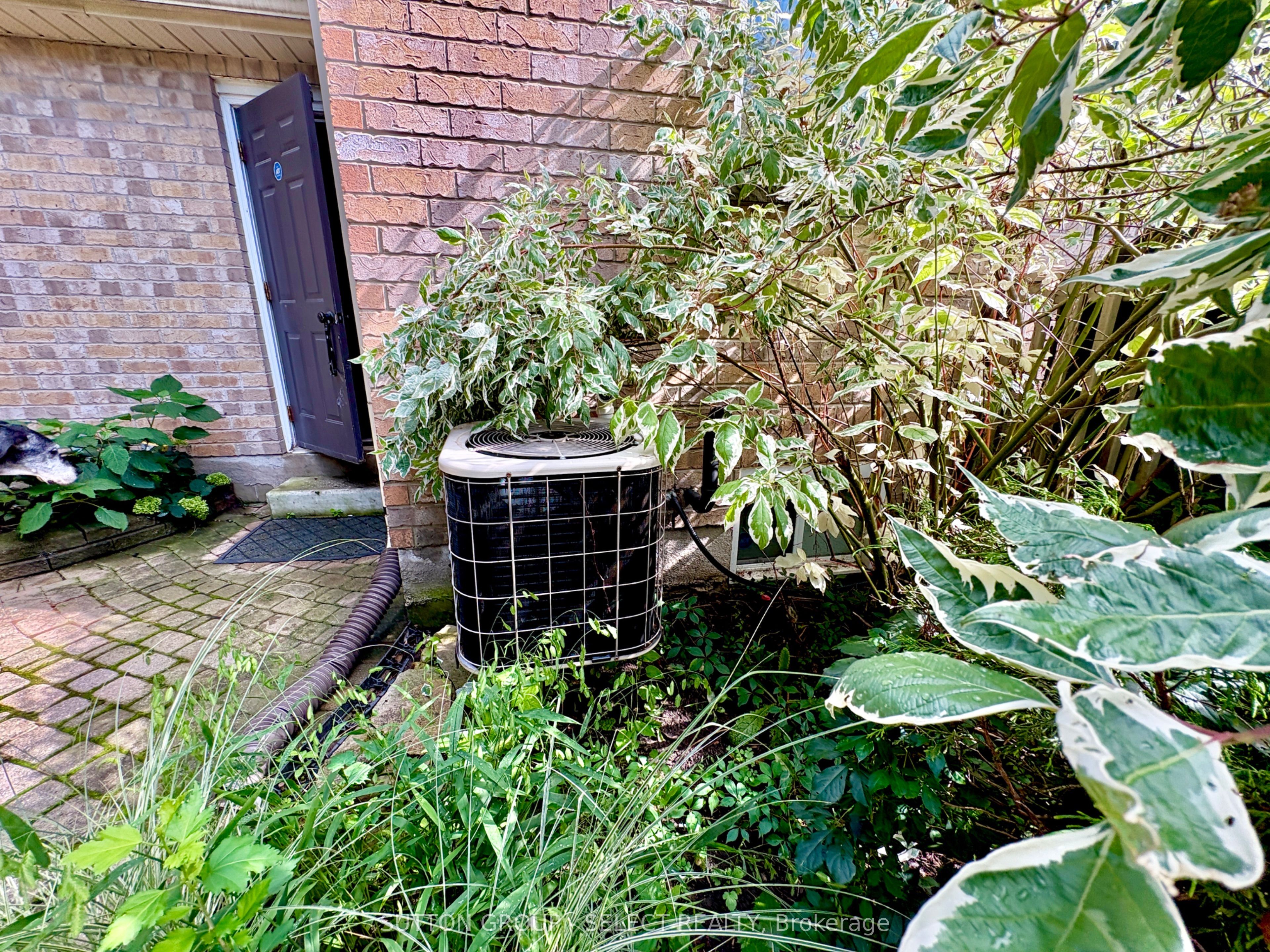 41 David Street Property Photo 47