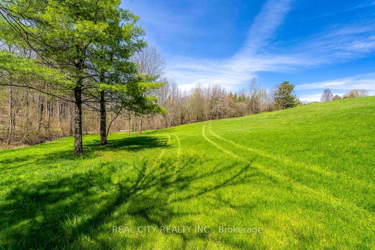 47 River Road Property Photo 25