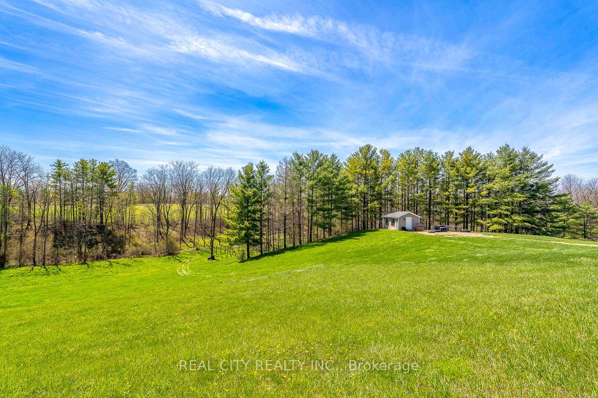 47 River Road Property Photo 43