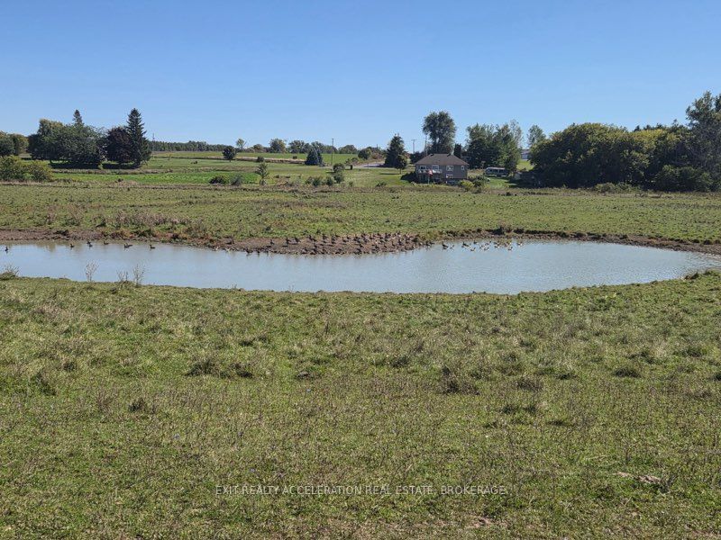 Pt Lt 19 Con 4 County Rd 8 Property Photo 10