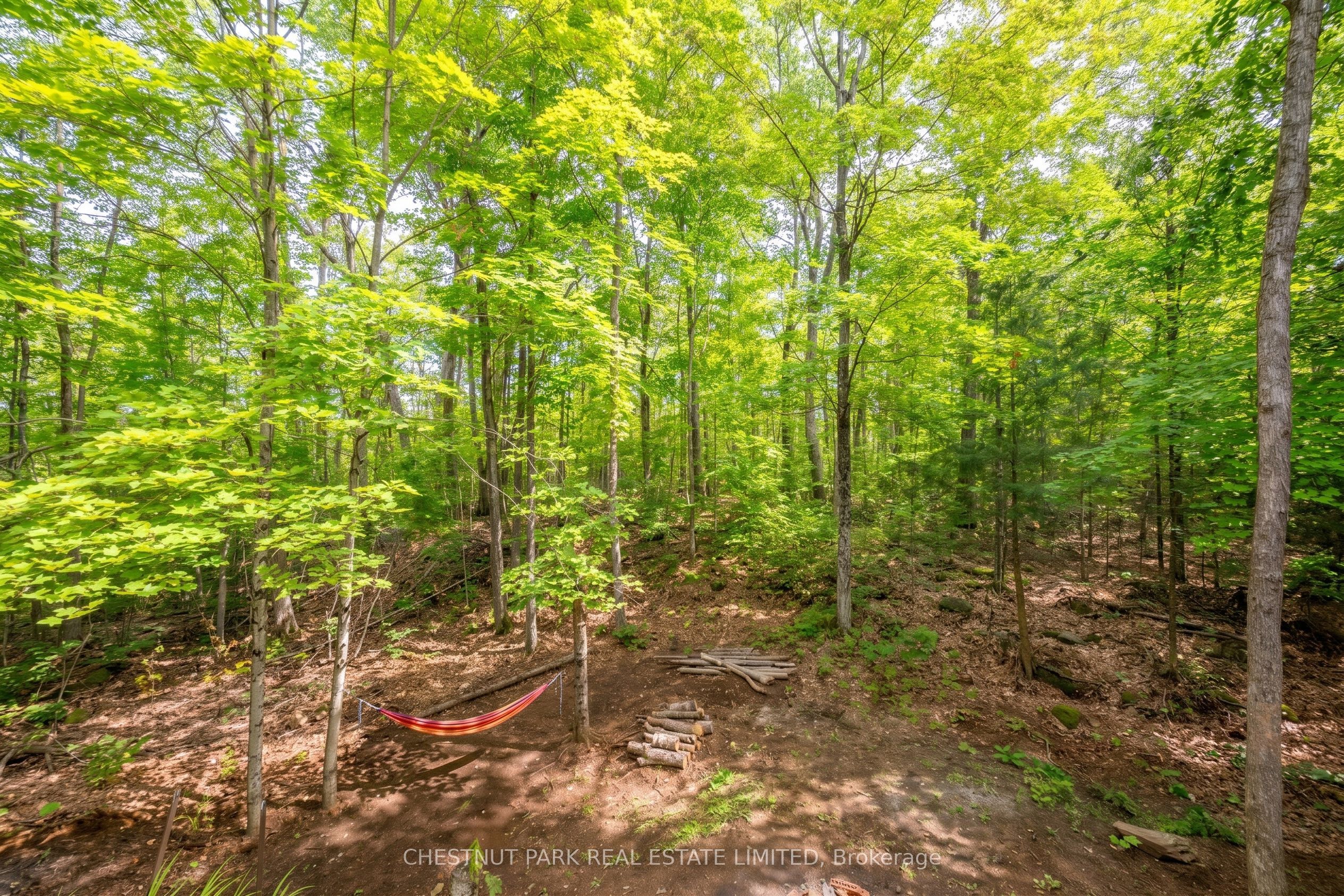 110 Fire Route 367 Property Photo 44