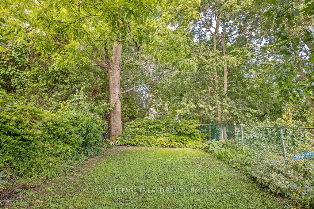 1030 York Street Property Photo 42