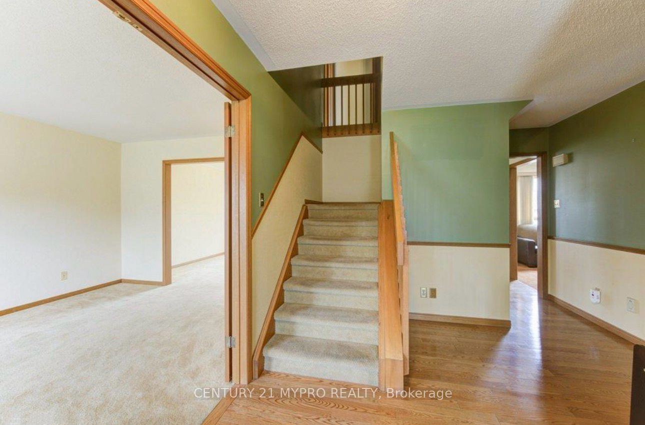 27 Walmer Gardens Property Photo 3