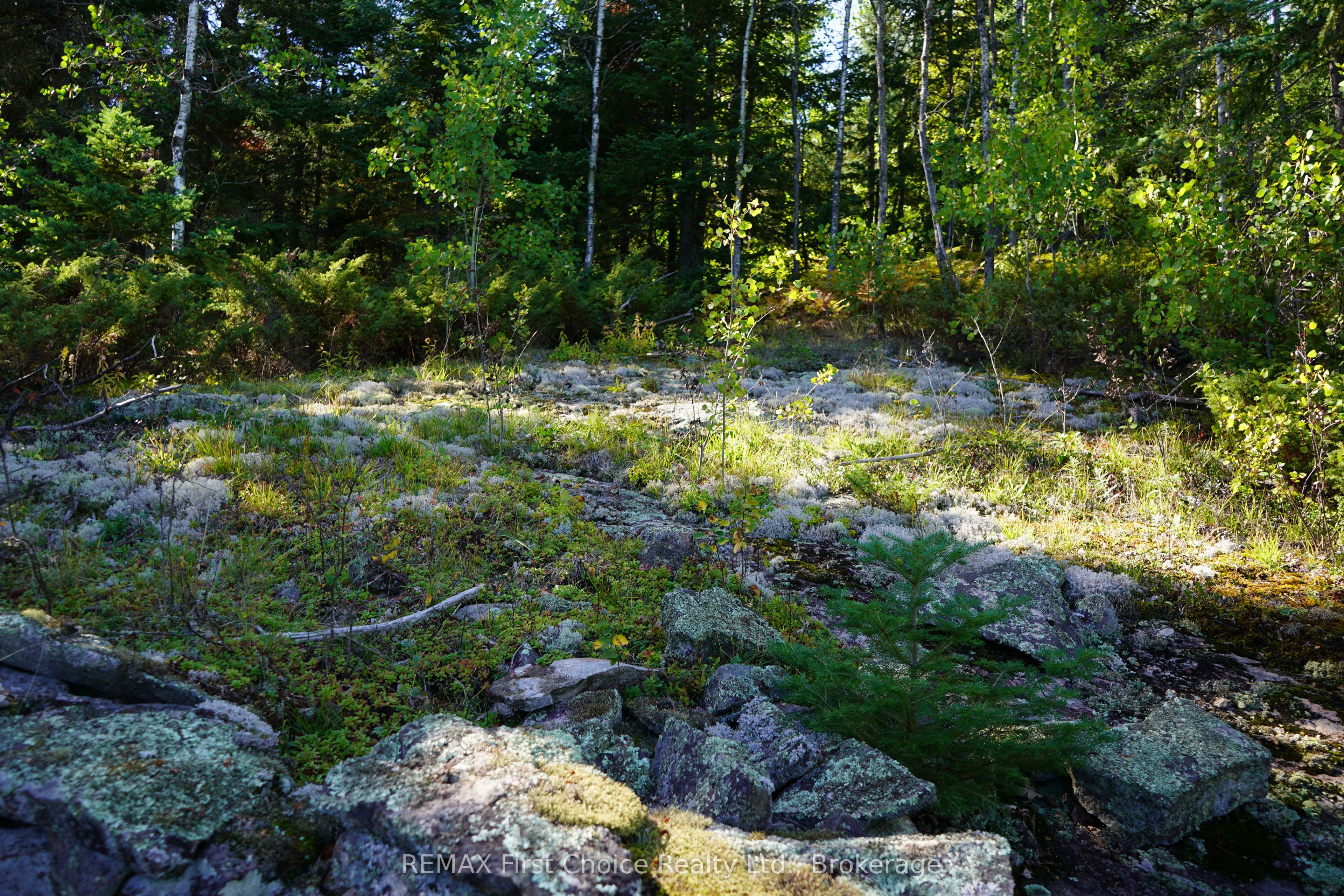 145 Little Sand Lake Property Photo 23