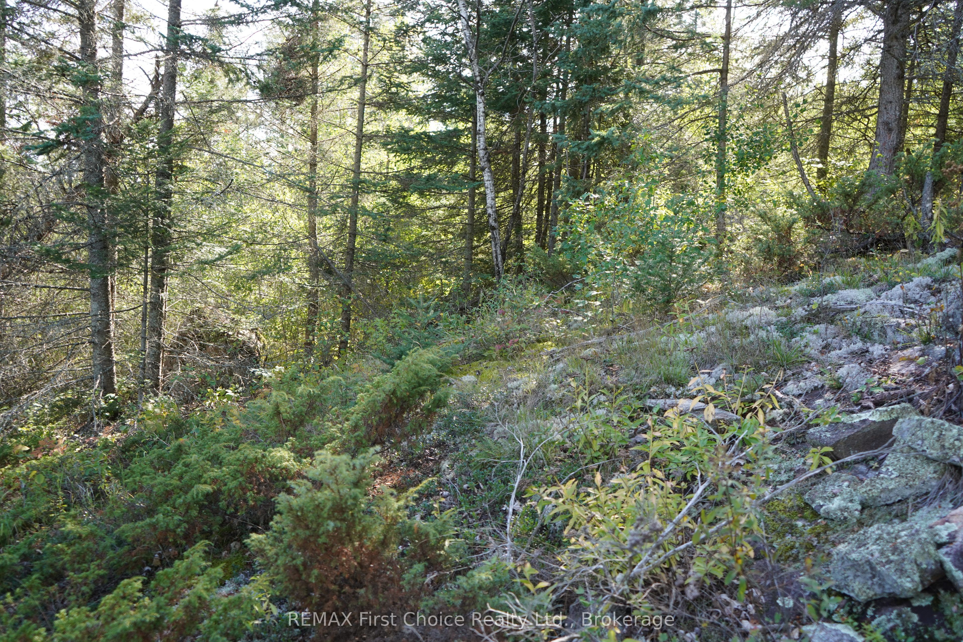 145 Little Sand Lake Property Photo 24