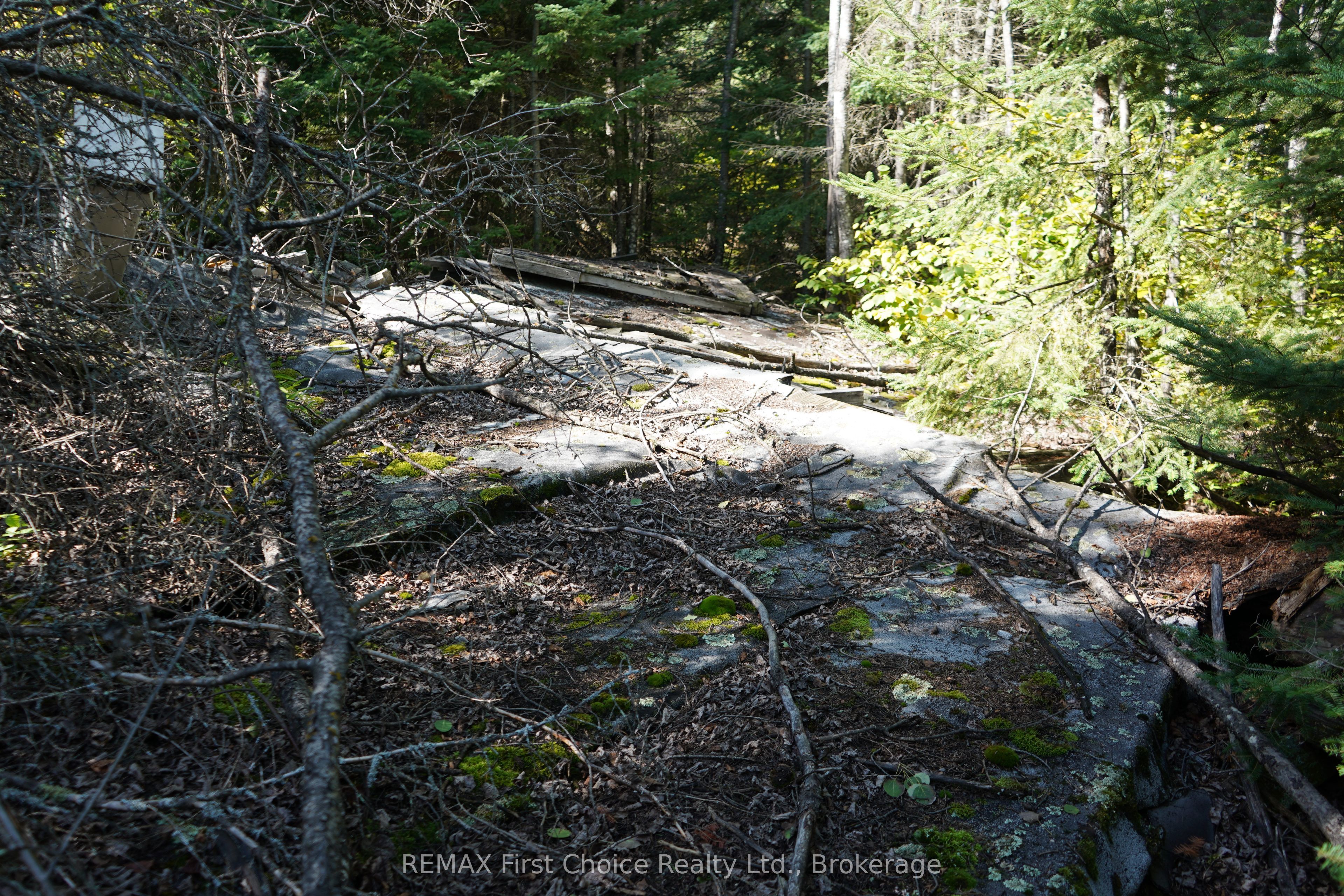 145 Little Sand Lake Property Photo 33