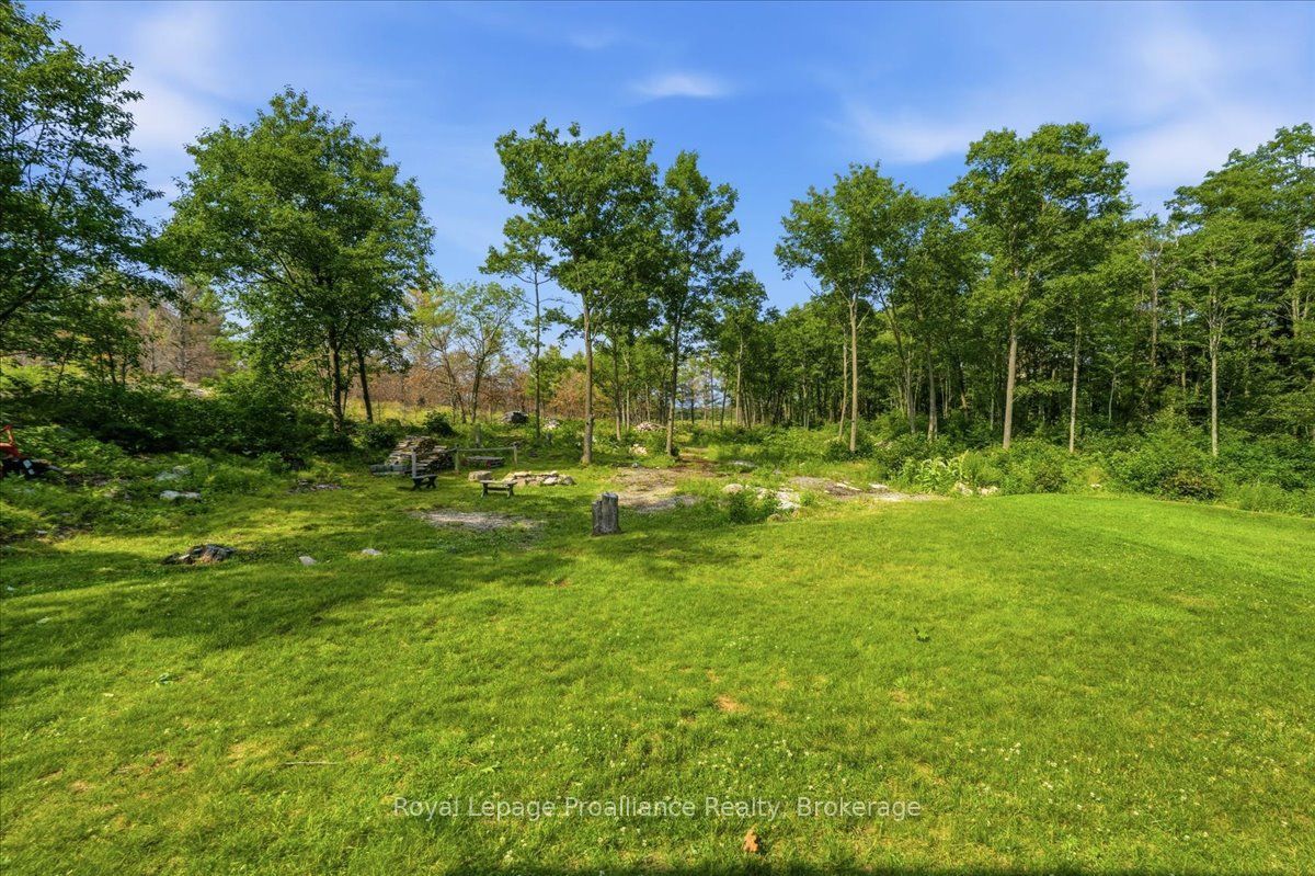 10389 41 Highway Property Photo 32