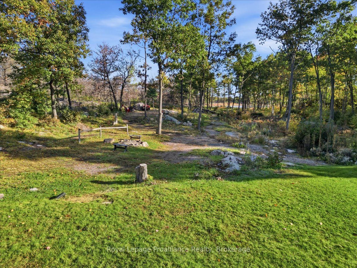 10389 41 Highway Property Photo 33