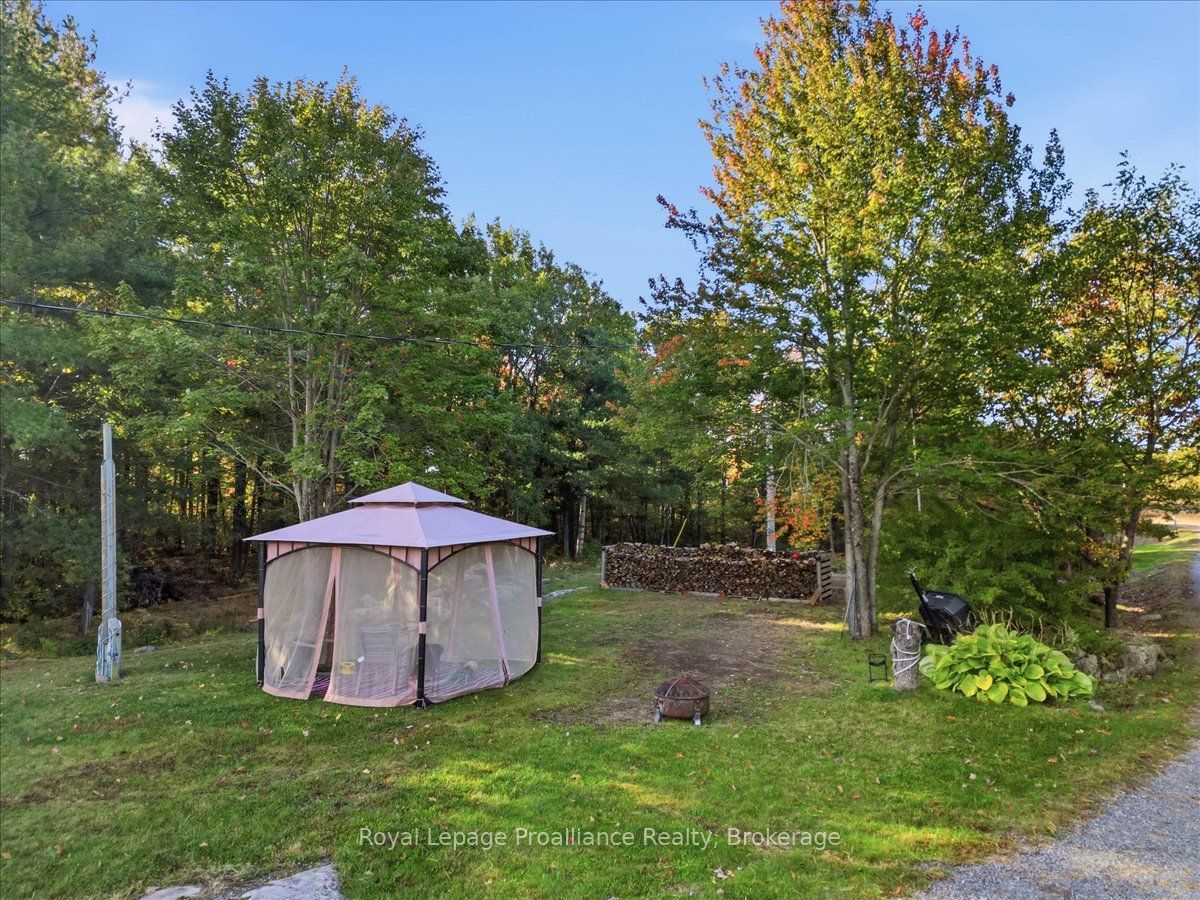 10389 41 Highway Property Photo 34