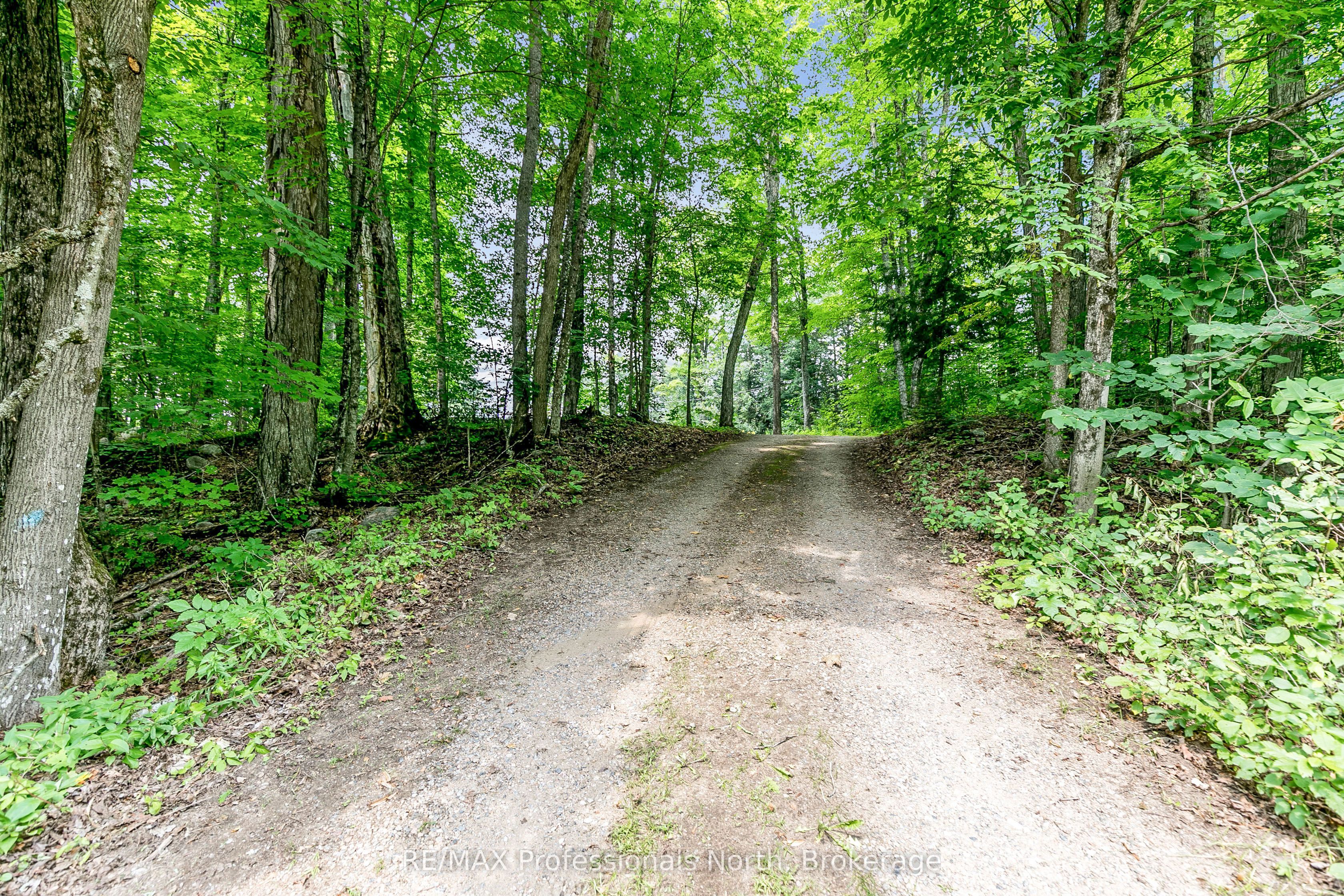 1813 Kashagawigamog Lake Road Property Photo 34