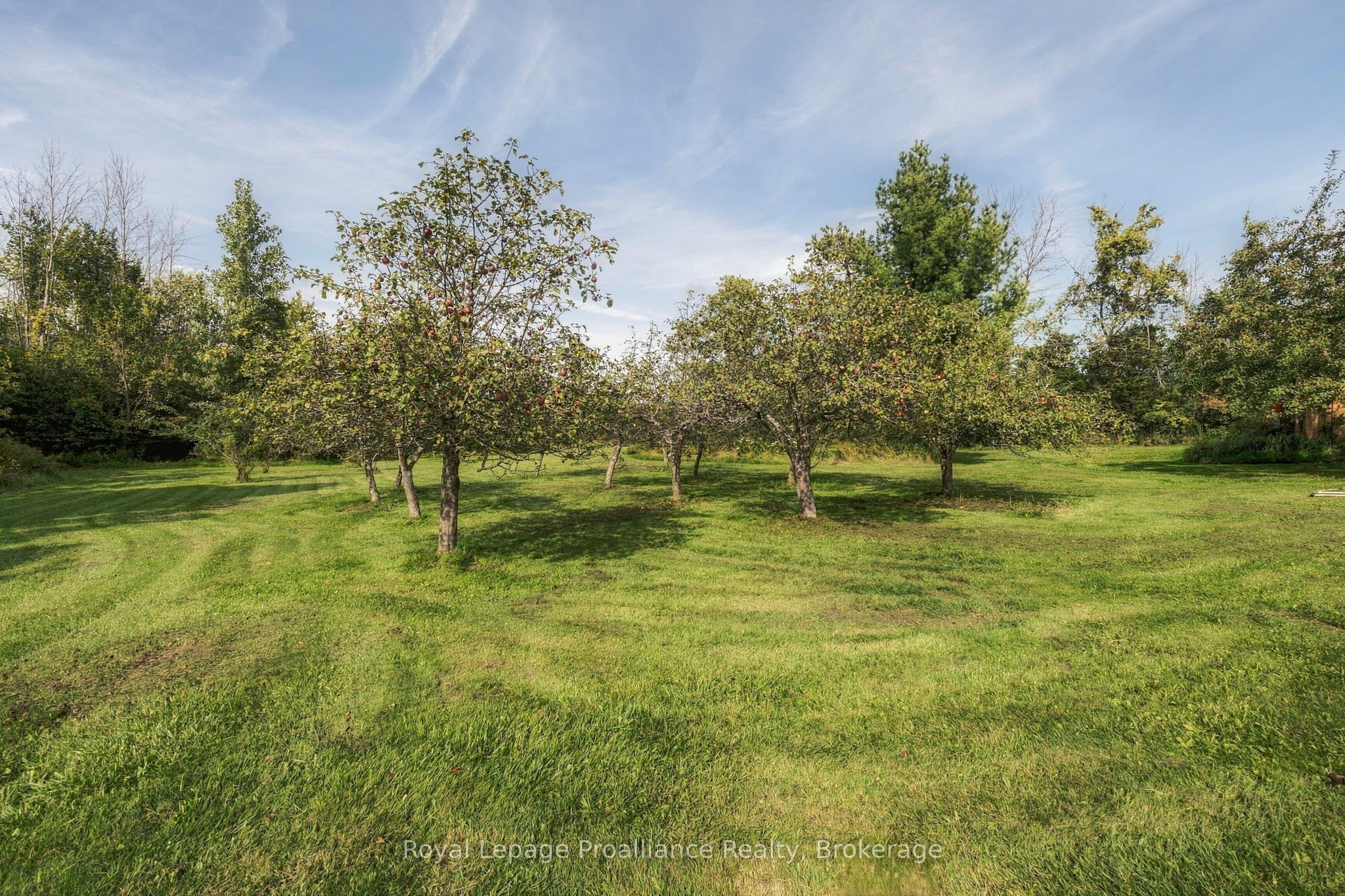 16 Bonisteel Road Property Photo 41