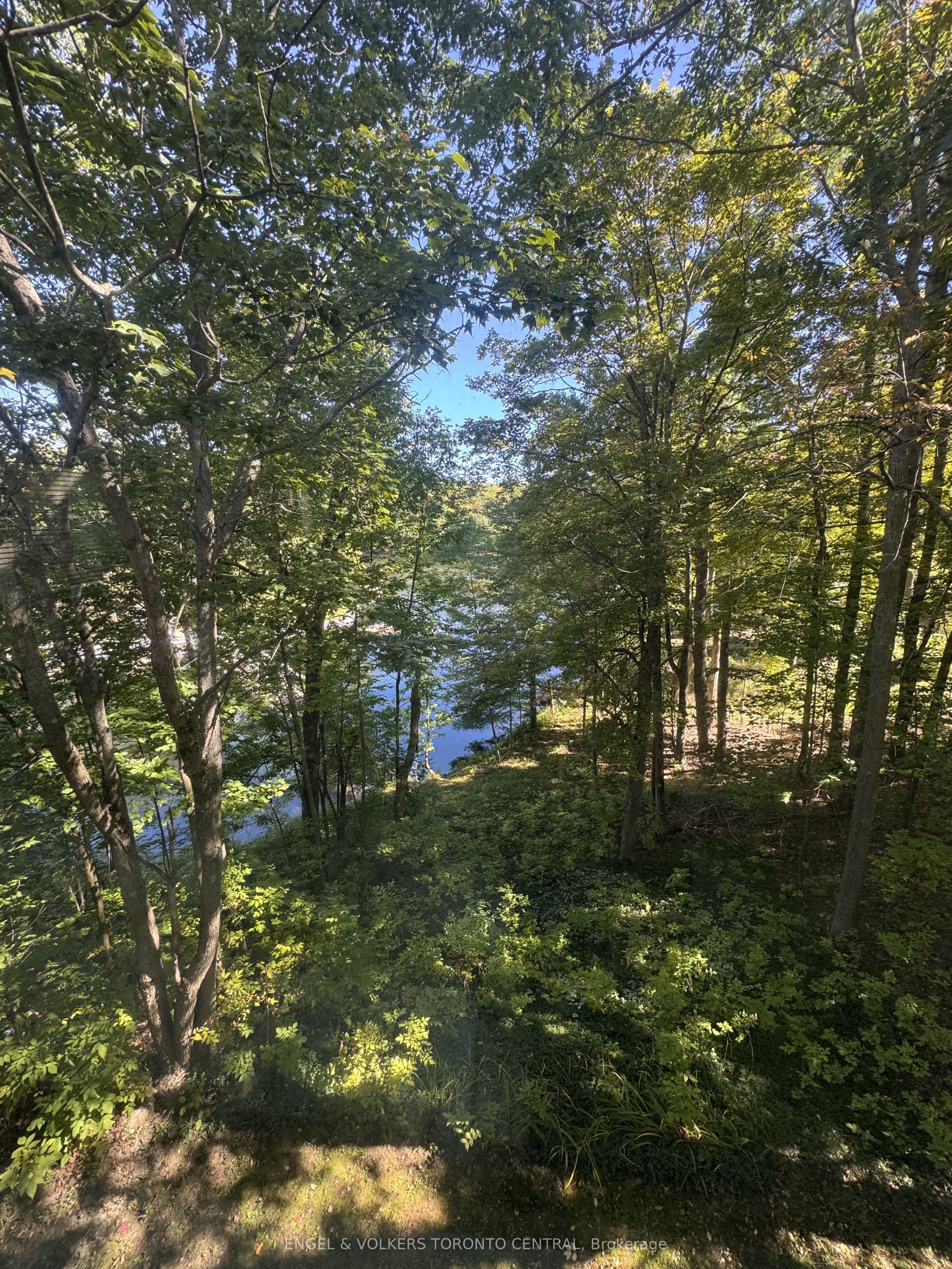 96 Joseph Street Property Photo 13