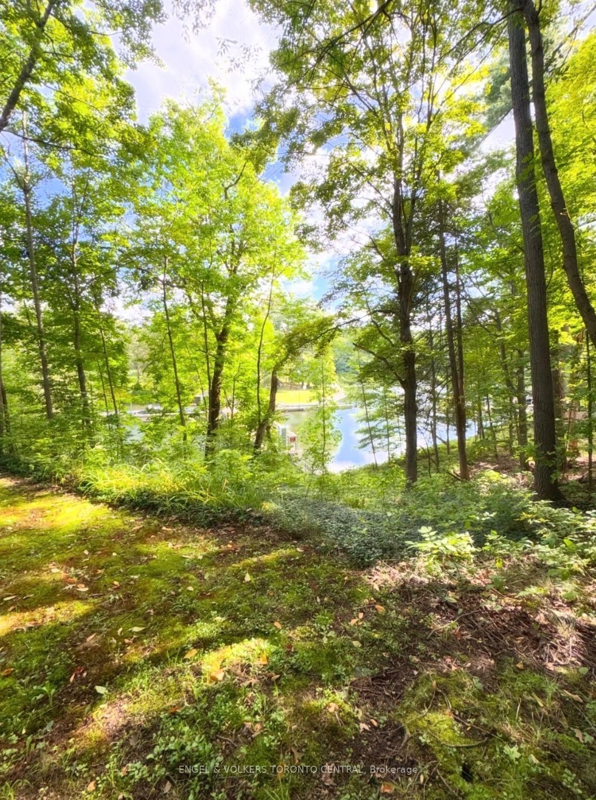 96 Joseph Street Property Photo 14