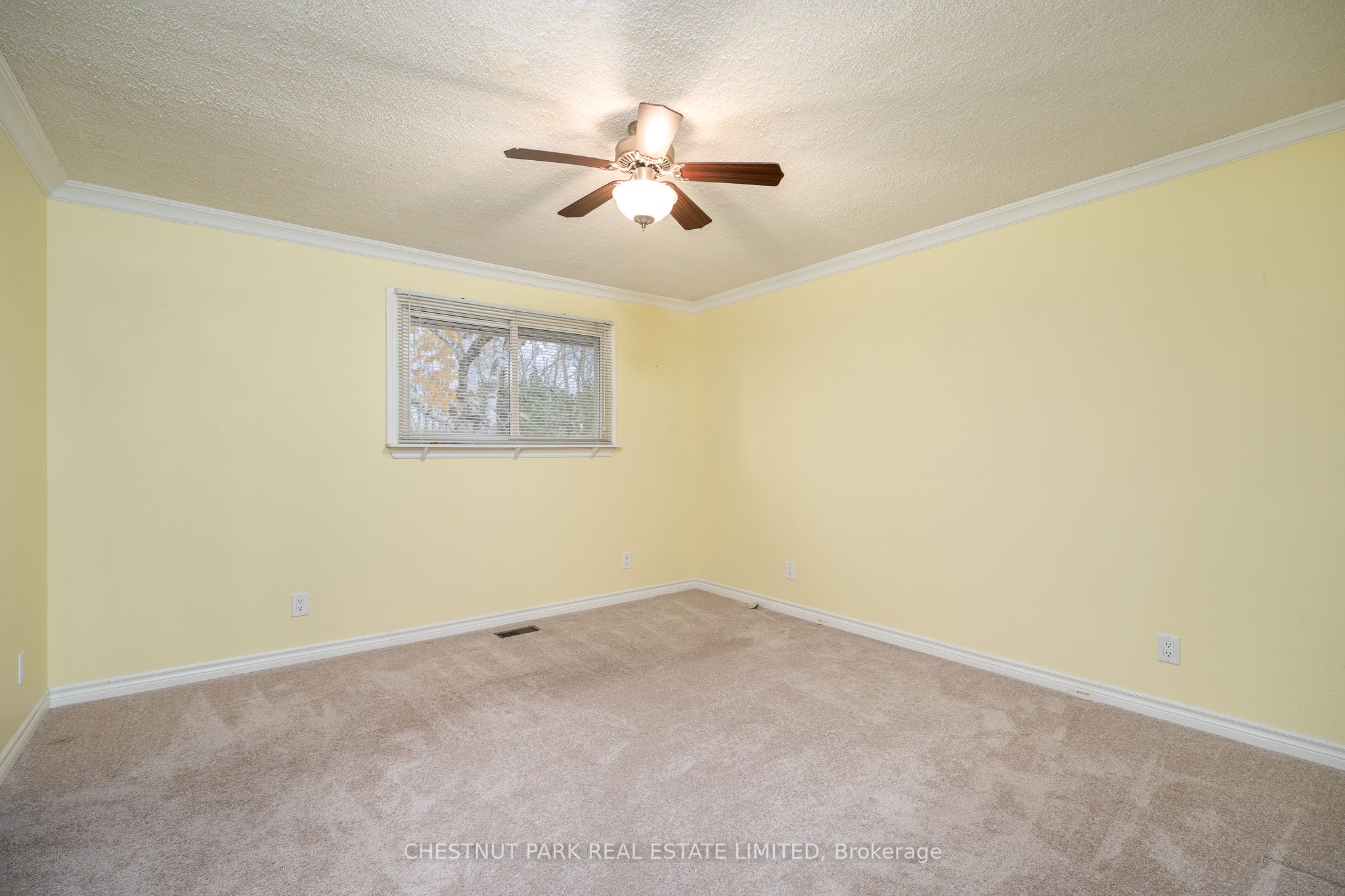 321 Rosebush Road Main Property Photo 21