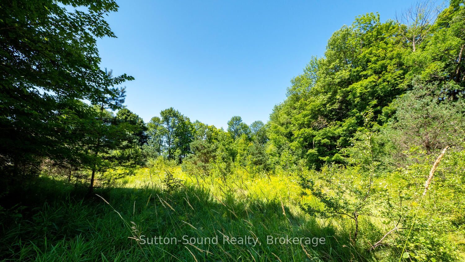 31 Everett Road Property Photo 5