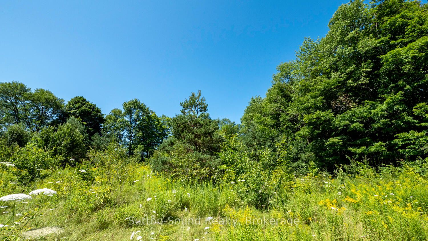 31 Everett Road Property Photo 9