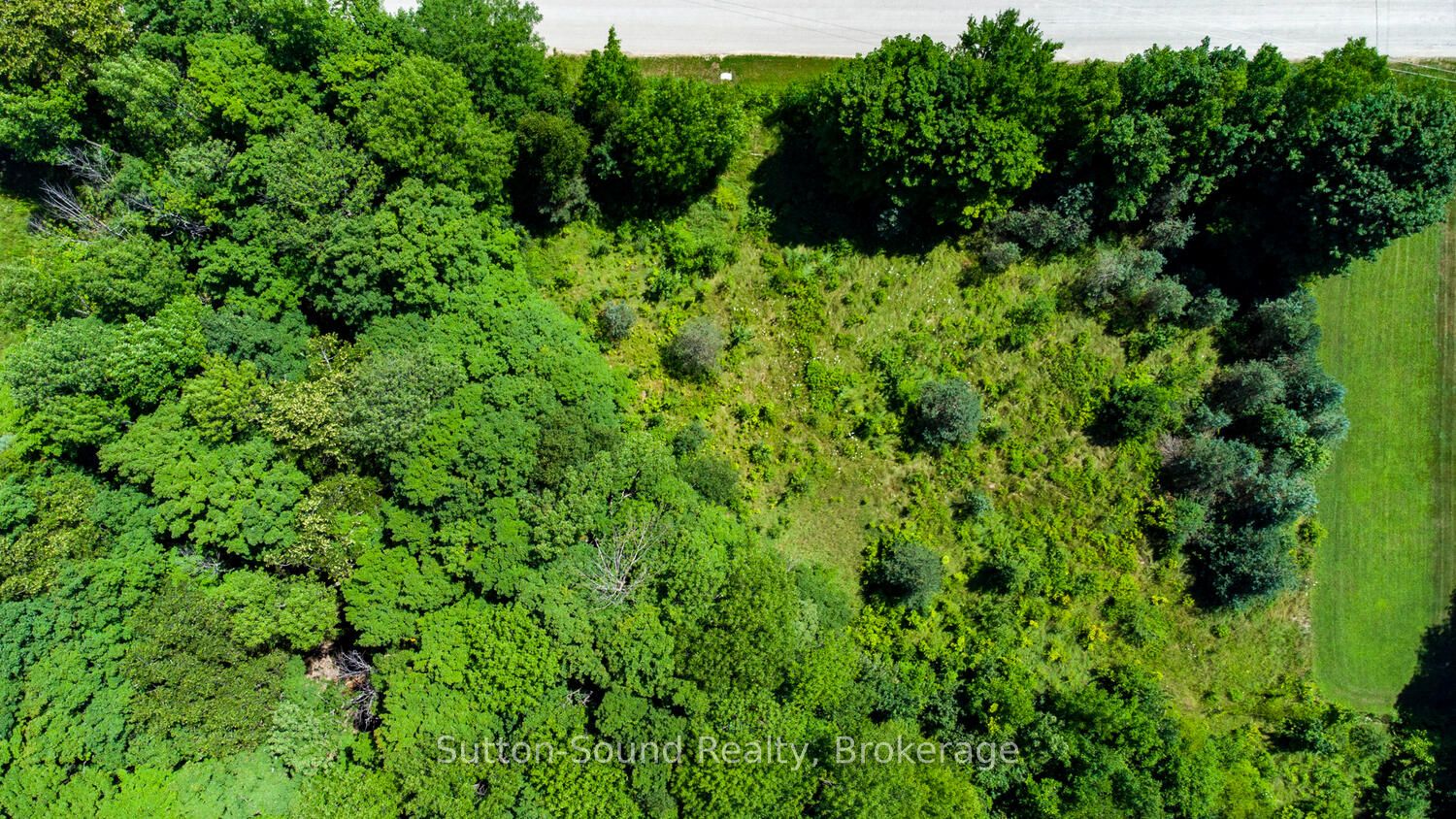 31 Everett Road Property Photo 41