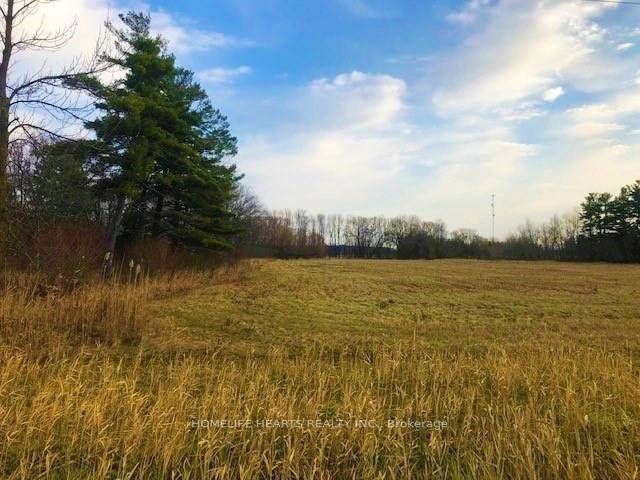 5961 County Rd 34 Property Photo 3