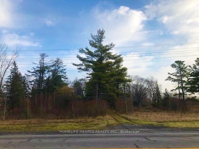 5961 County Rd 34 Property Photo 4