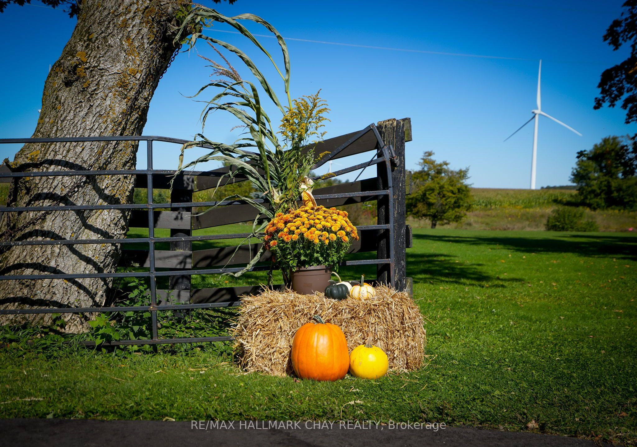 665221 20 Sideroad Property Photo 48