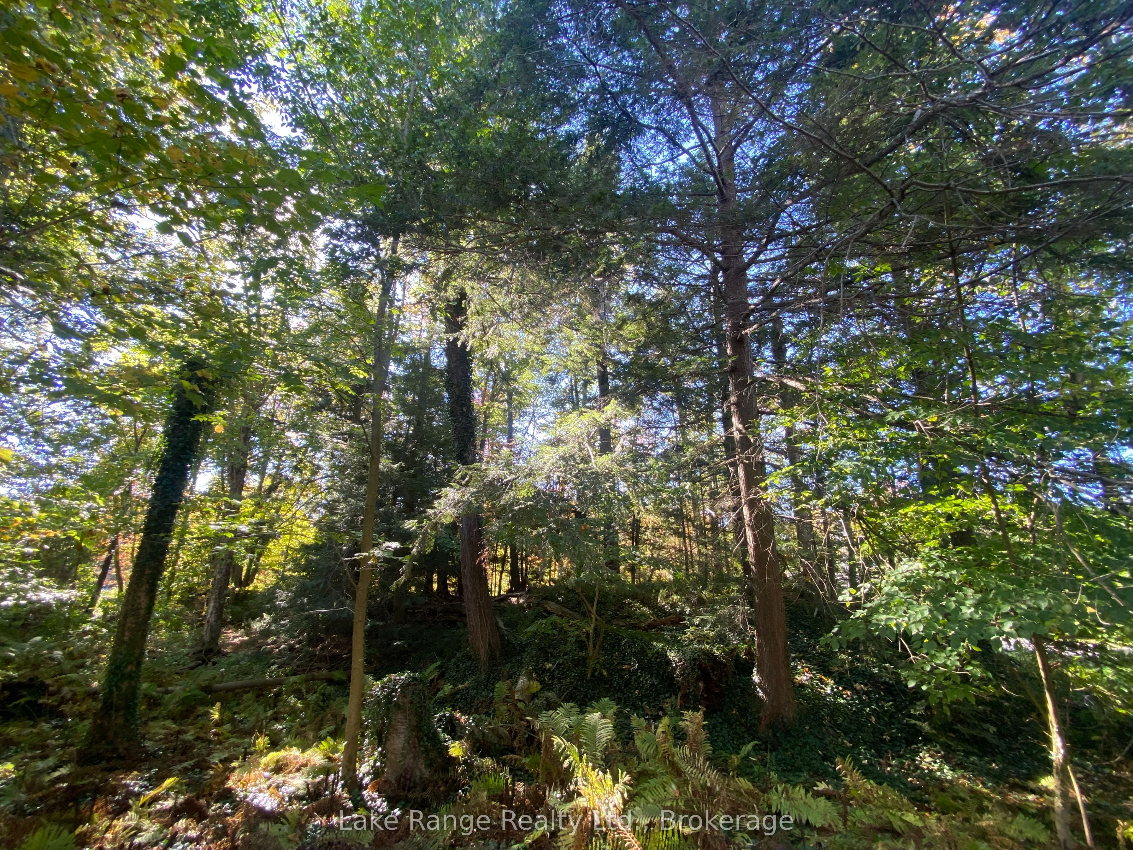 611 Tuscarora Road Property Photo 5
