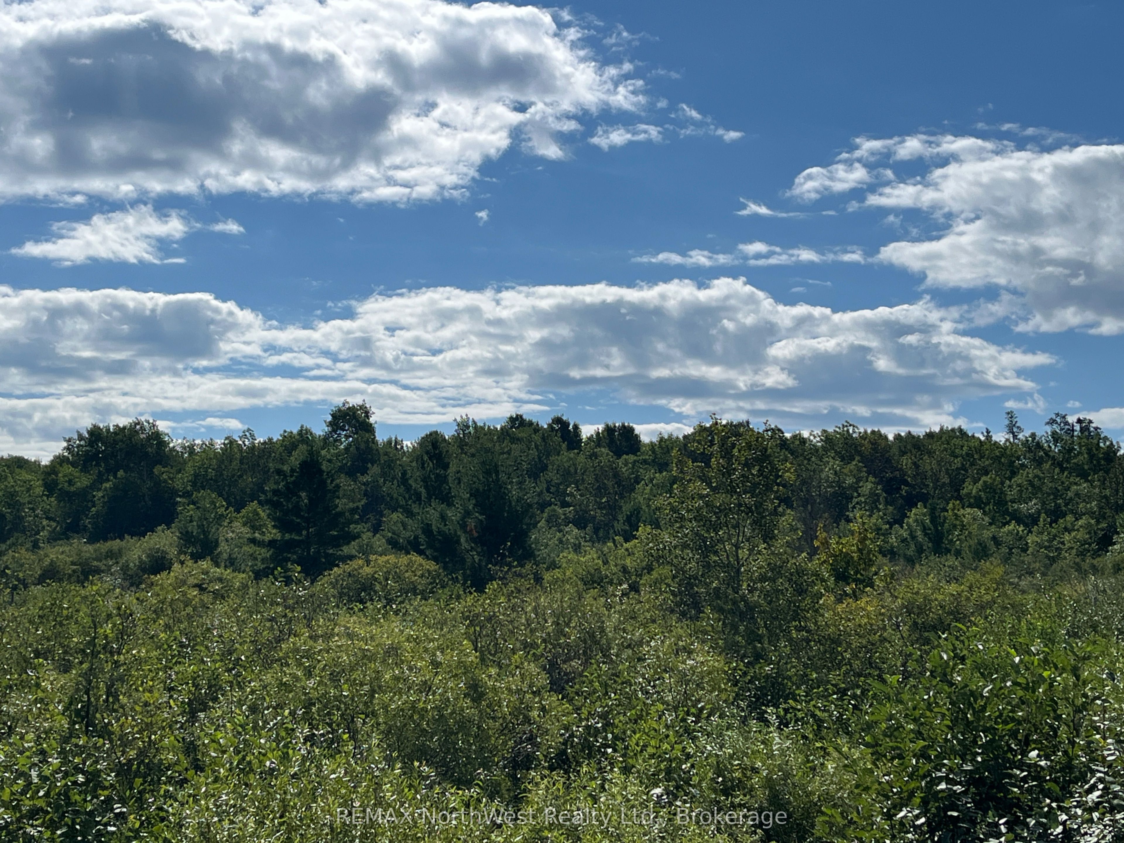 Pin 560110010 Pearson Road Property Photo 1