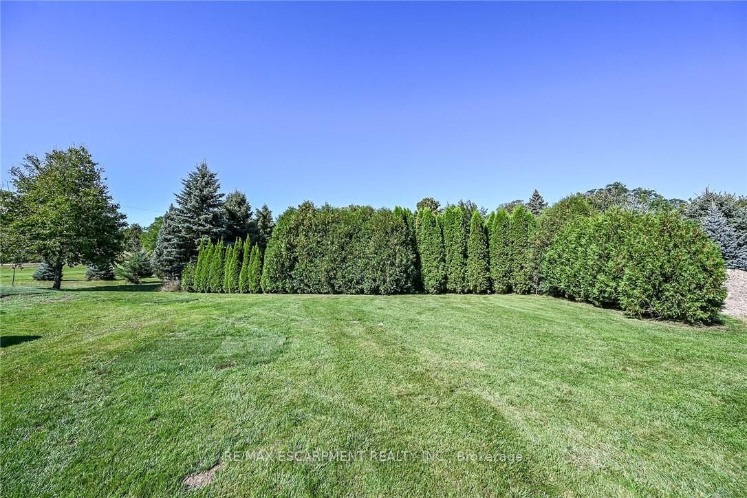 359 First Line Property Photo 48