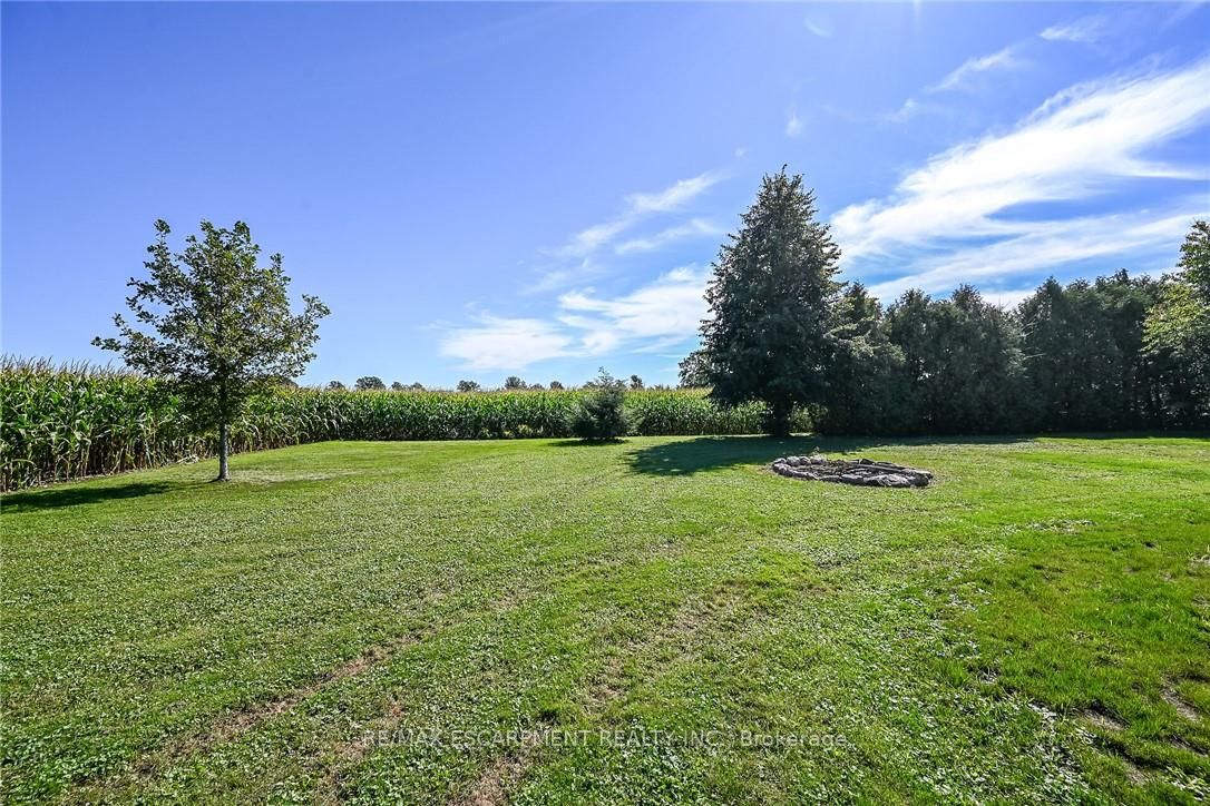 359 First Line Property Photo 50