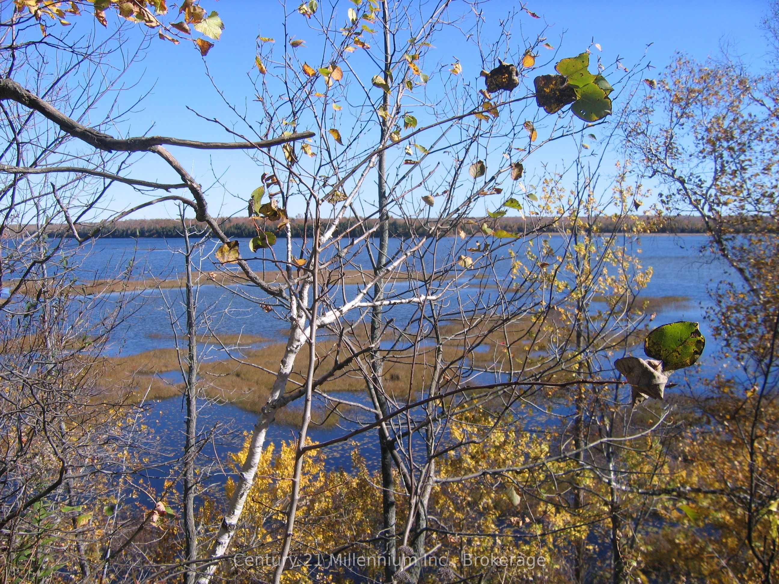 0 Lt 26 Con 2 Wbr Albemarle Concession Property Photo 1