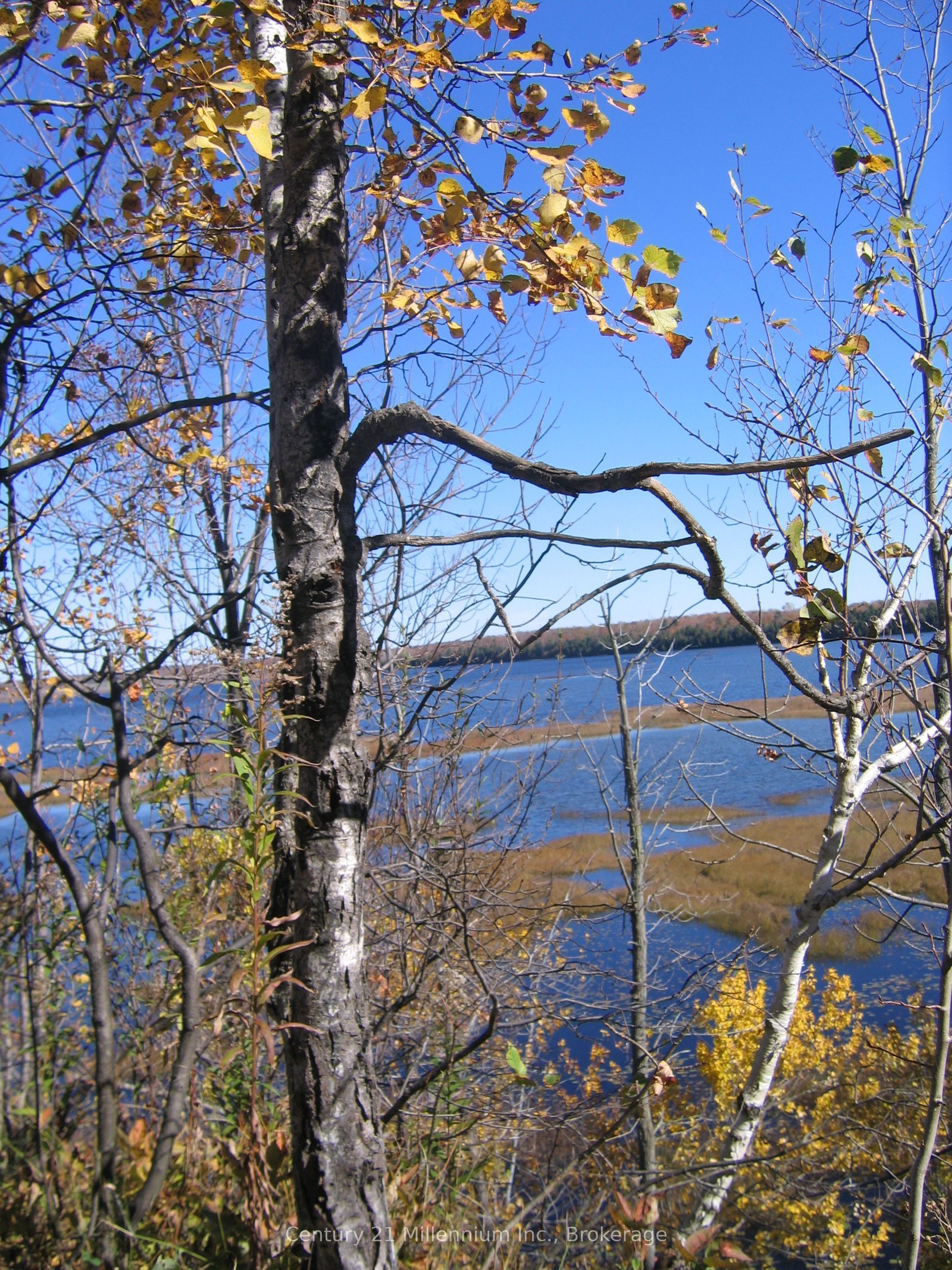 0 Lt 26 Con 2 Wbr Albemarle Concession Property Photo 2