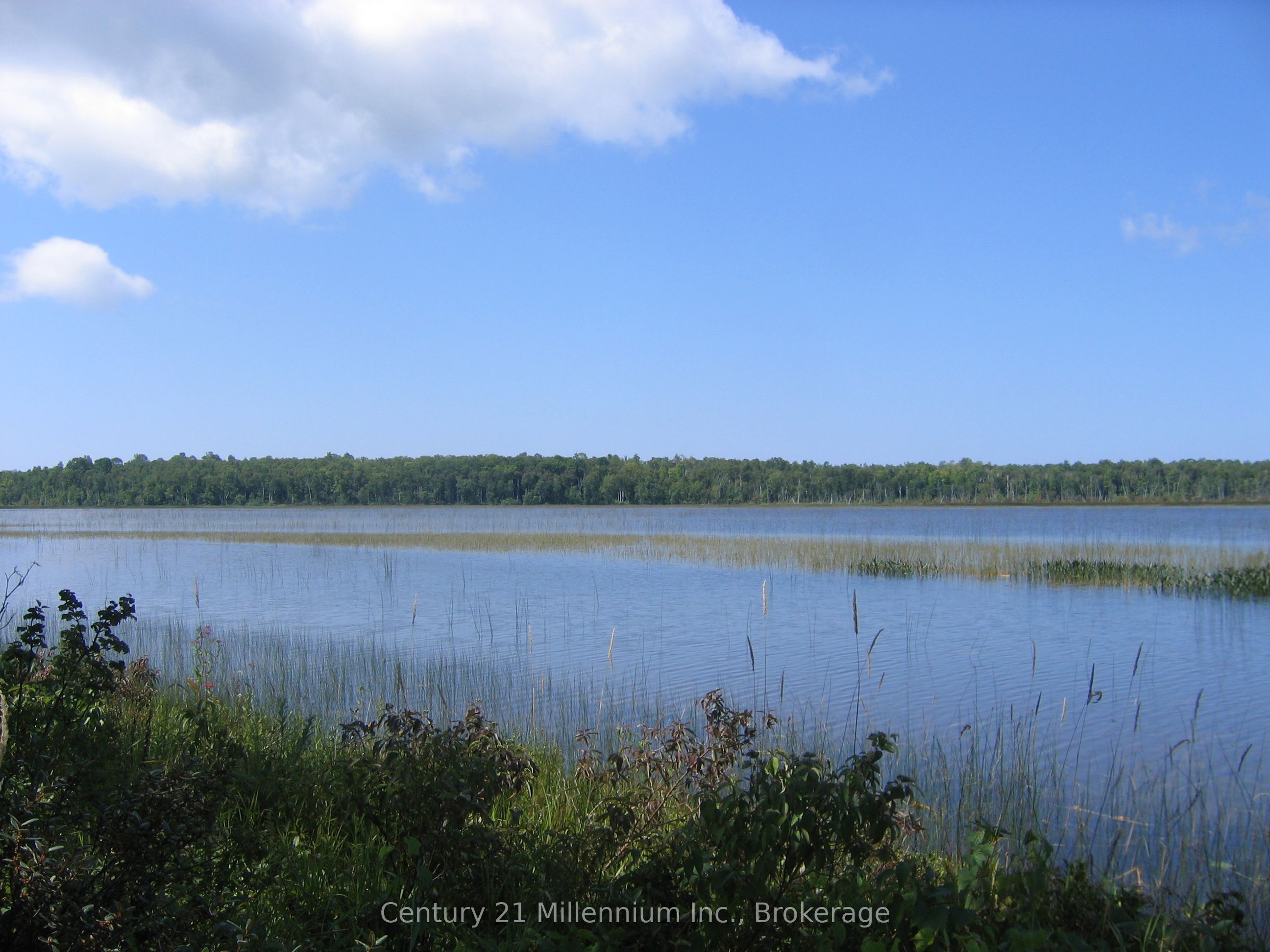 0 Lt 26 Con 2 Wbr Albemarle Concession Property Photo 3