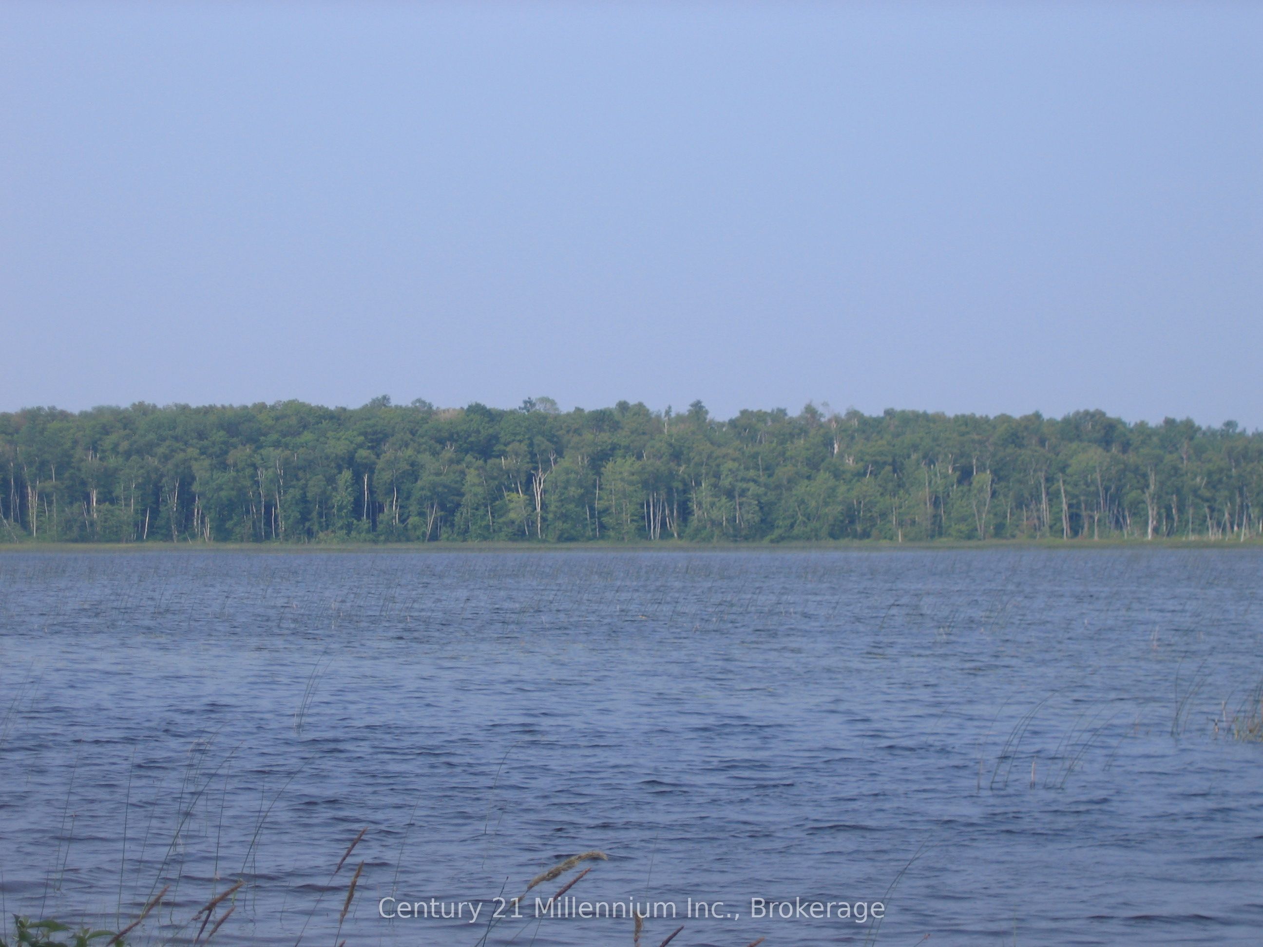 0 Lt 26 Con 2 Wbr Albemarle Concession Property Photo 4