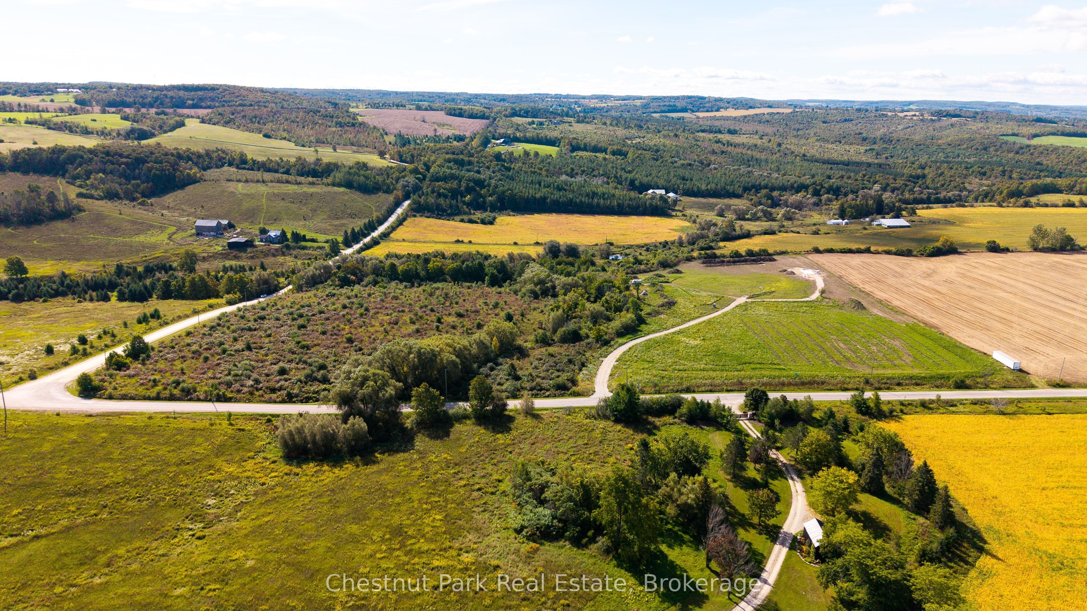 728534 21st Side Road Property Photo 13