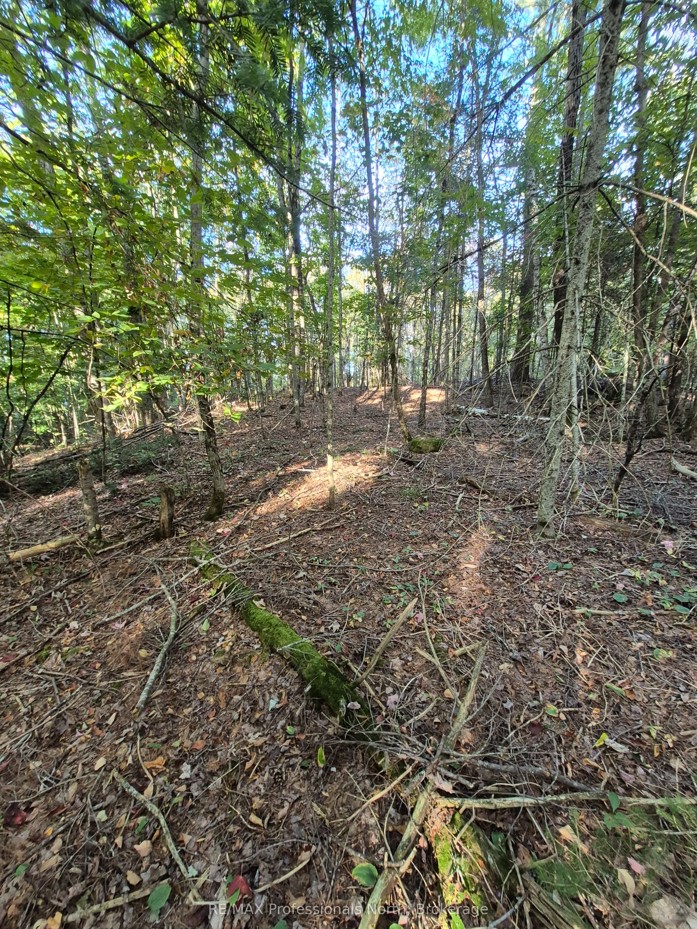 1257 Hamilton Road Property Photo 2