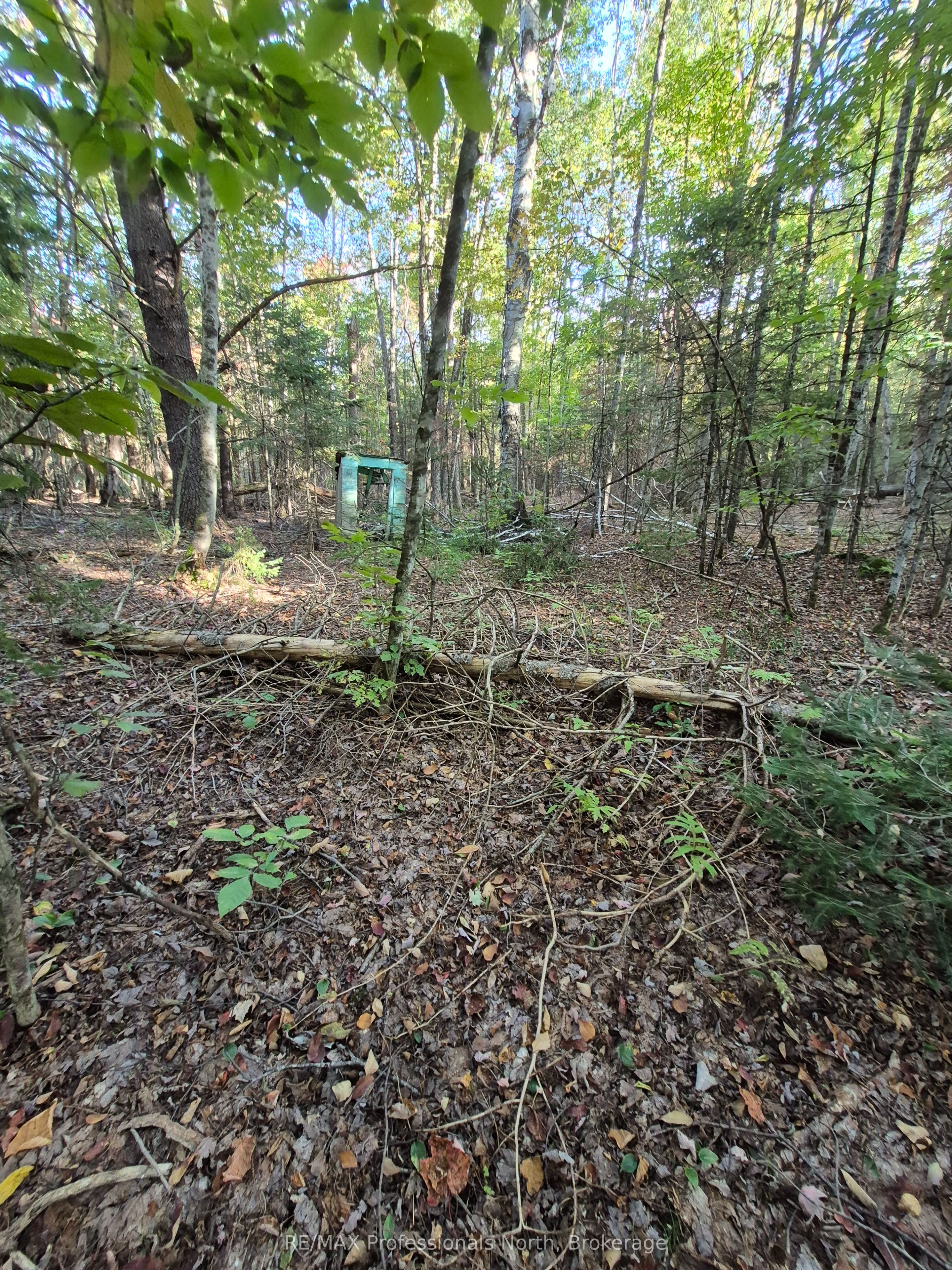 1257 Hamilton Road Property Photo 3