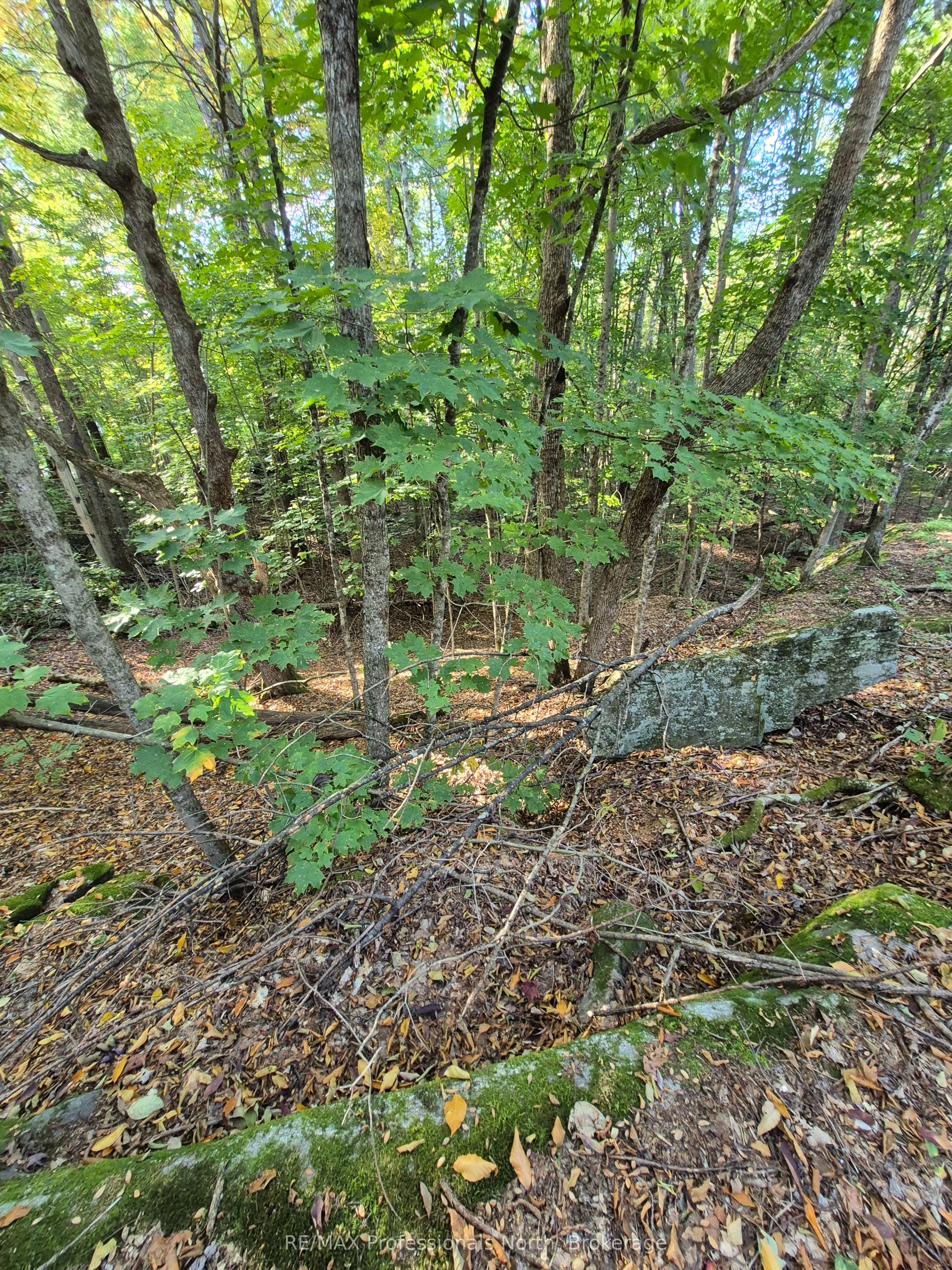 1257 Hamilton Road Property Photo 4