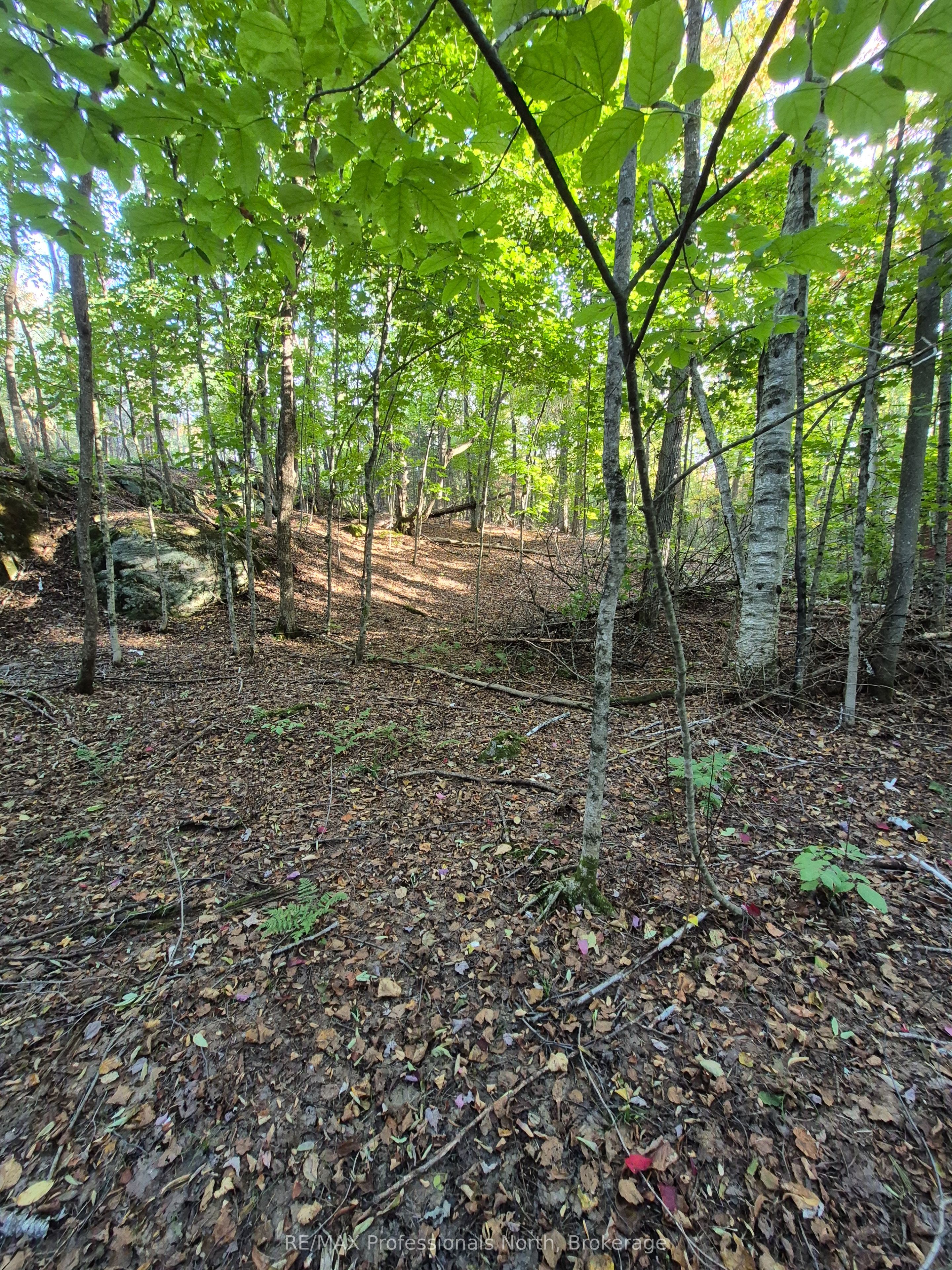 1257 Hamilton Road Property Photo 6