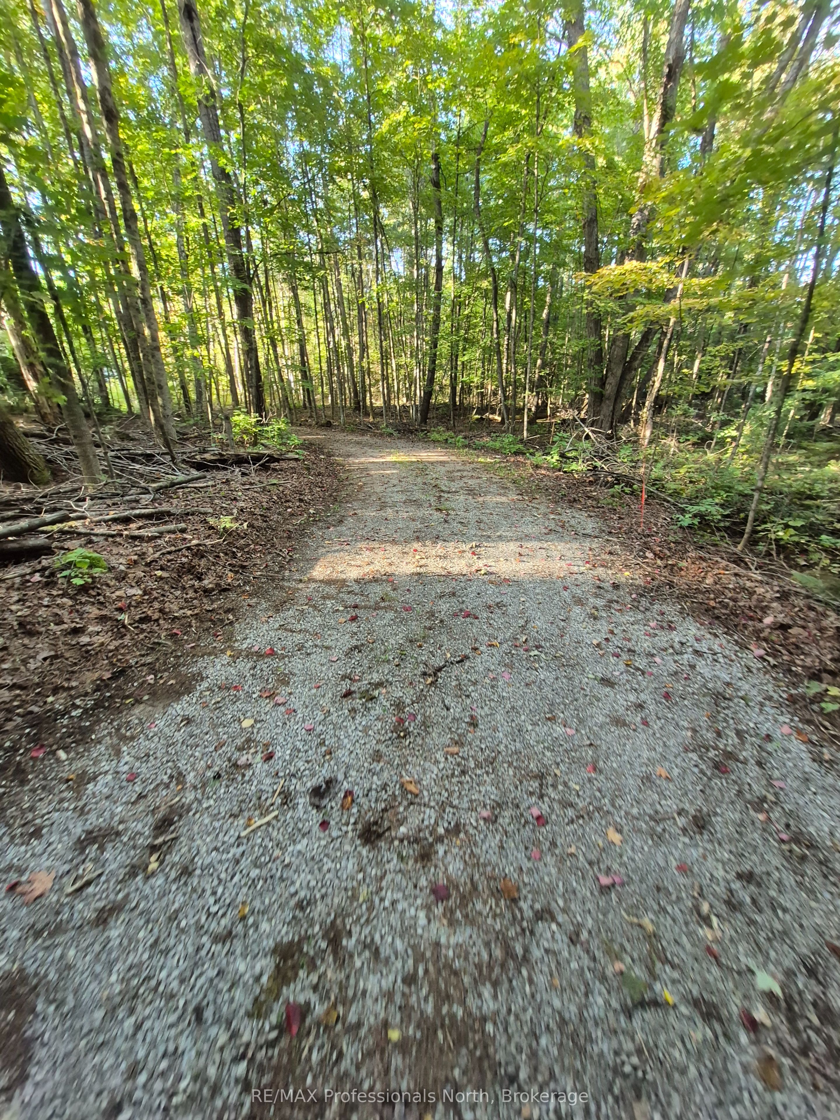 1257 Hamilton Road Property Photo 11
