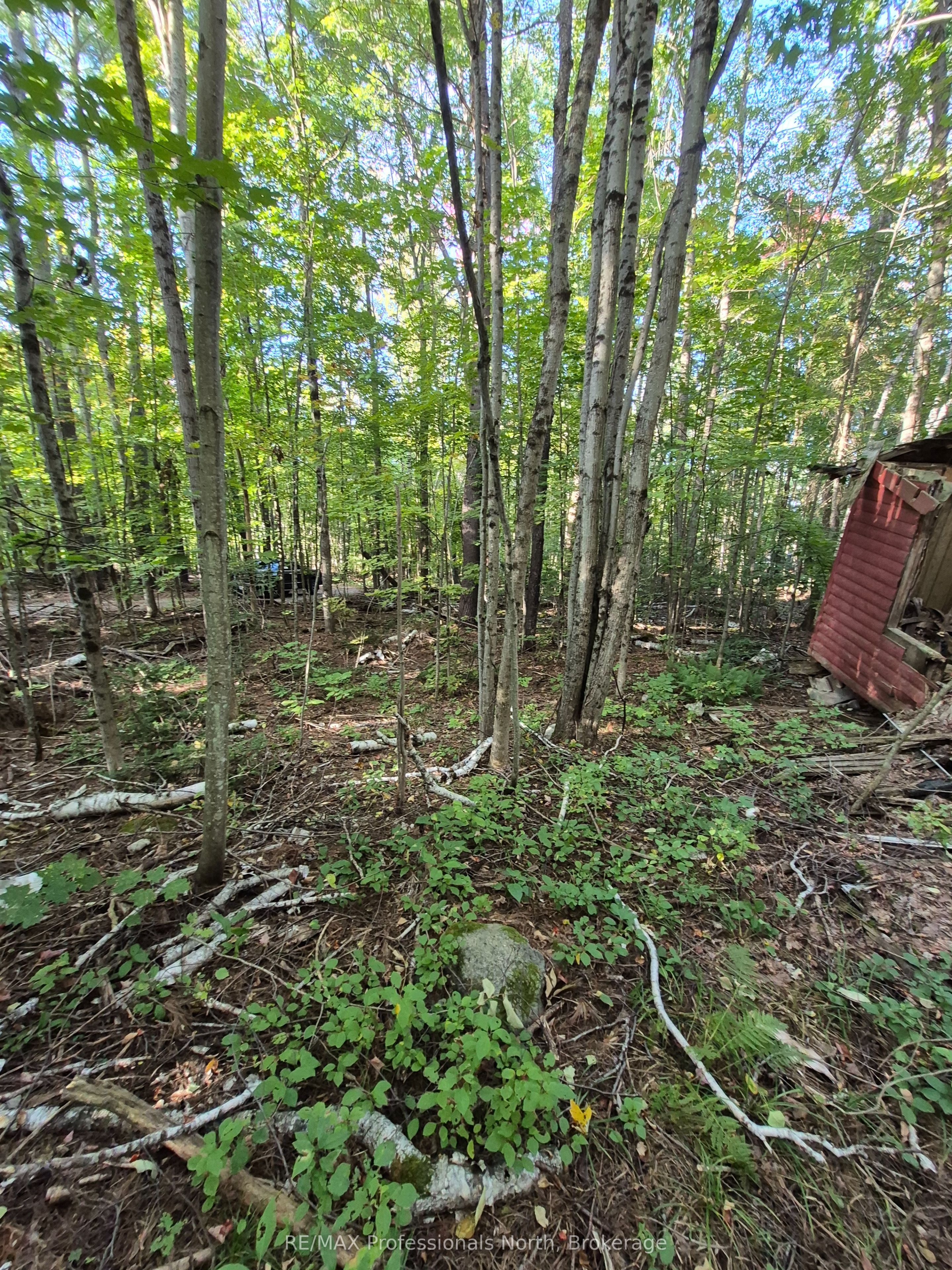 1257 Hamilton Road Property Photo 13