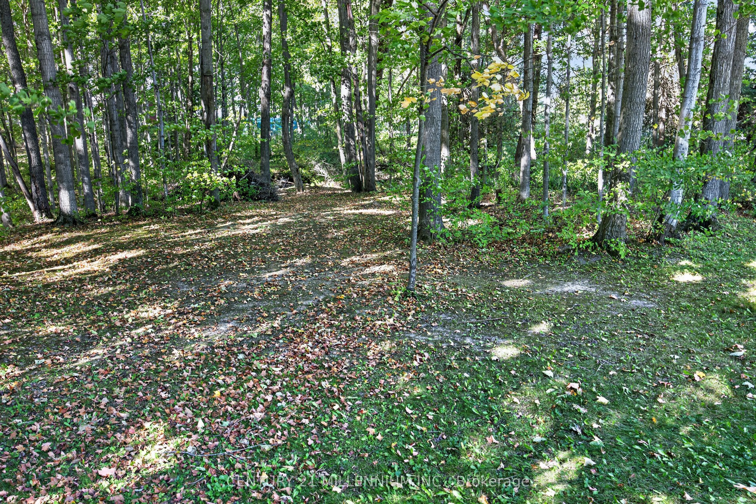 193496 Amaranth - East Luther Townline Property Photo 12