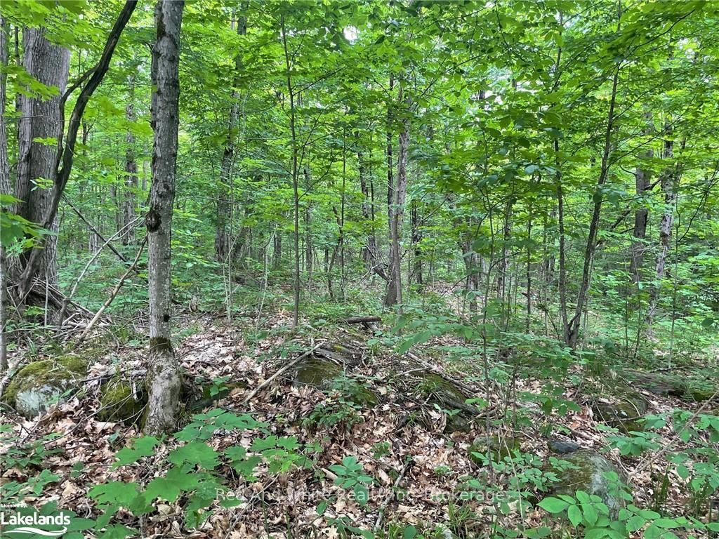 1082 James Camp Road Property Photo 1