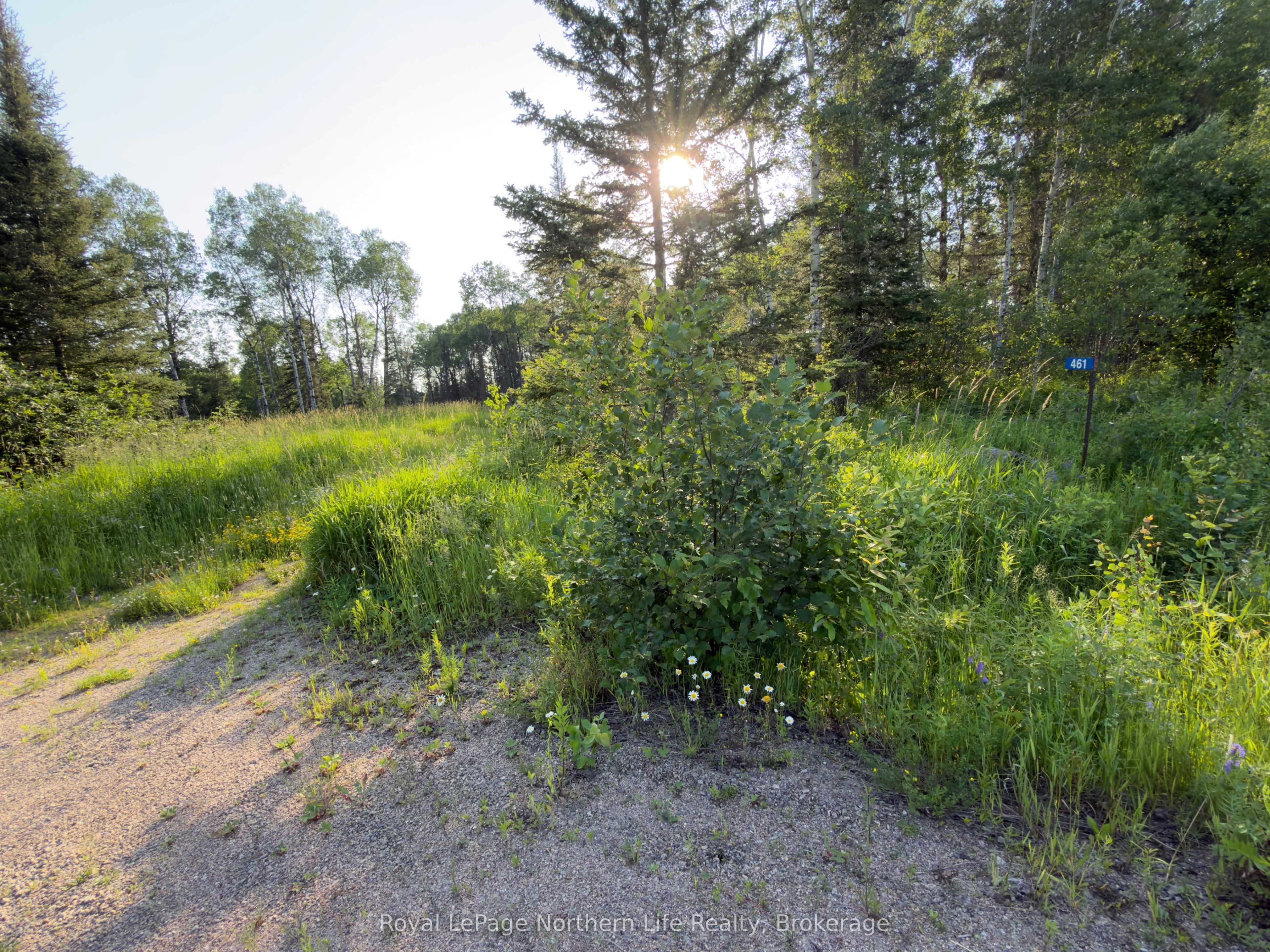 461 Alderdale Road Property Photo 1