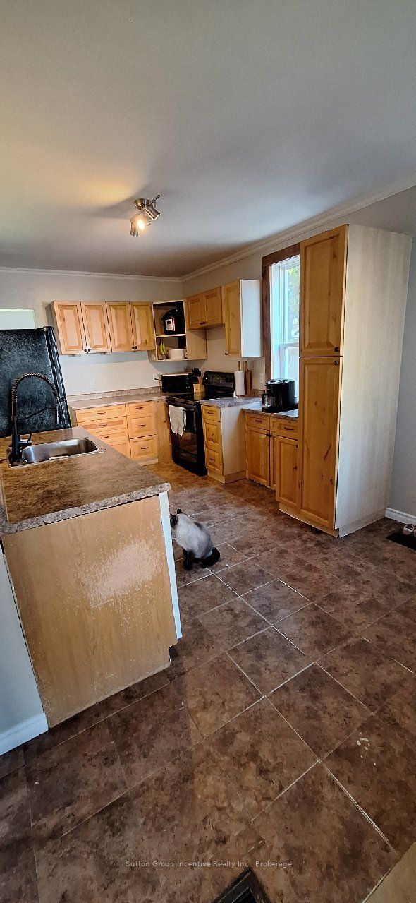 151 David Street Property Photo 5