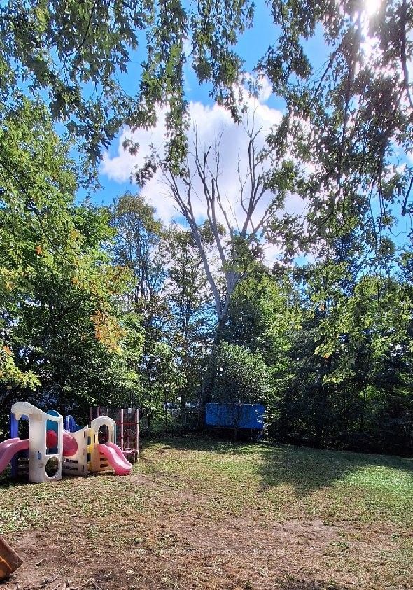 151 David Street Property Photo 22