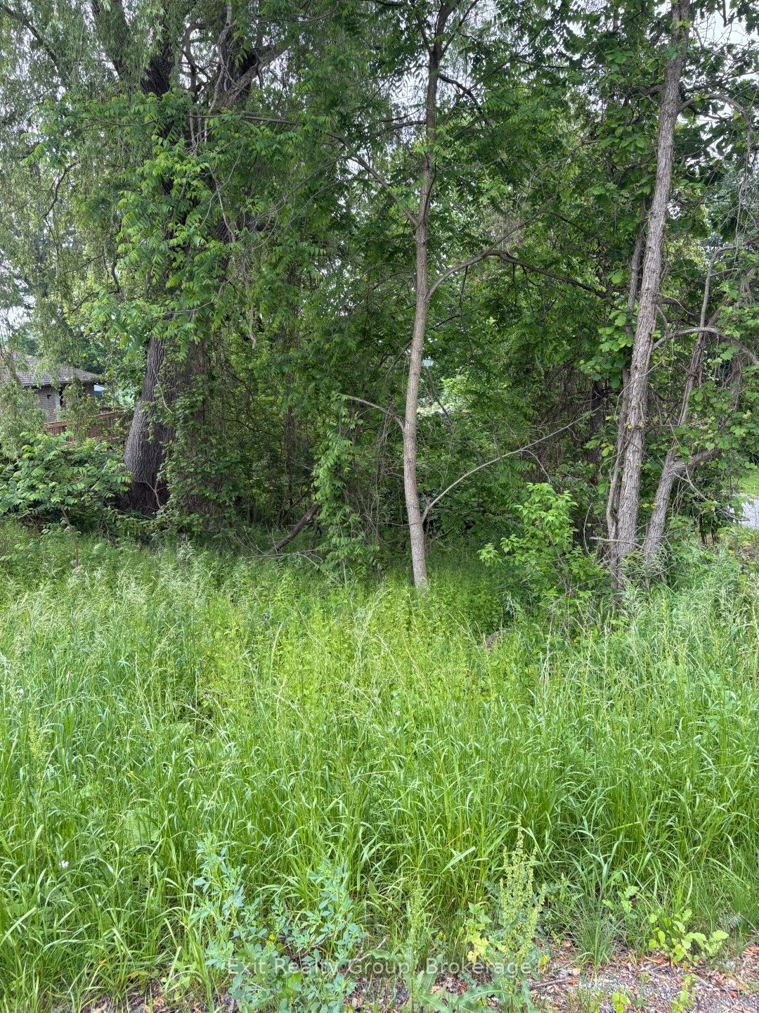 00 County Rd 5 Property Photo 4